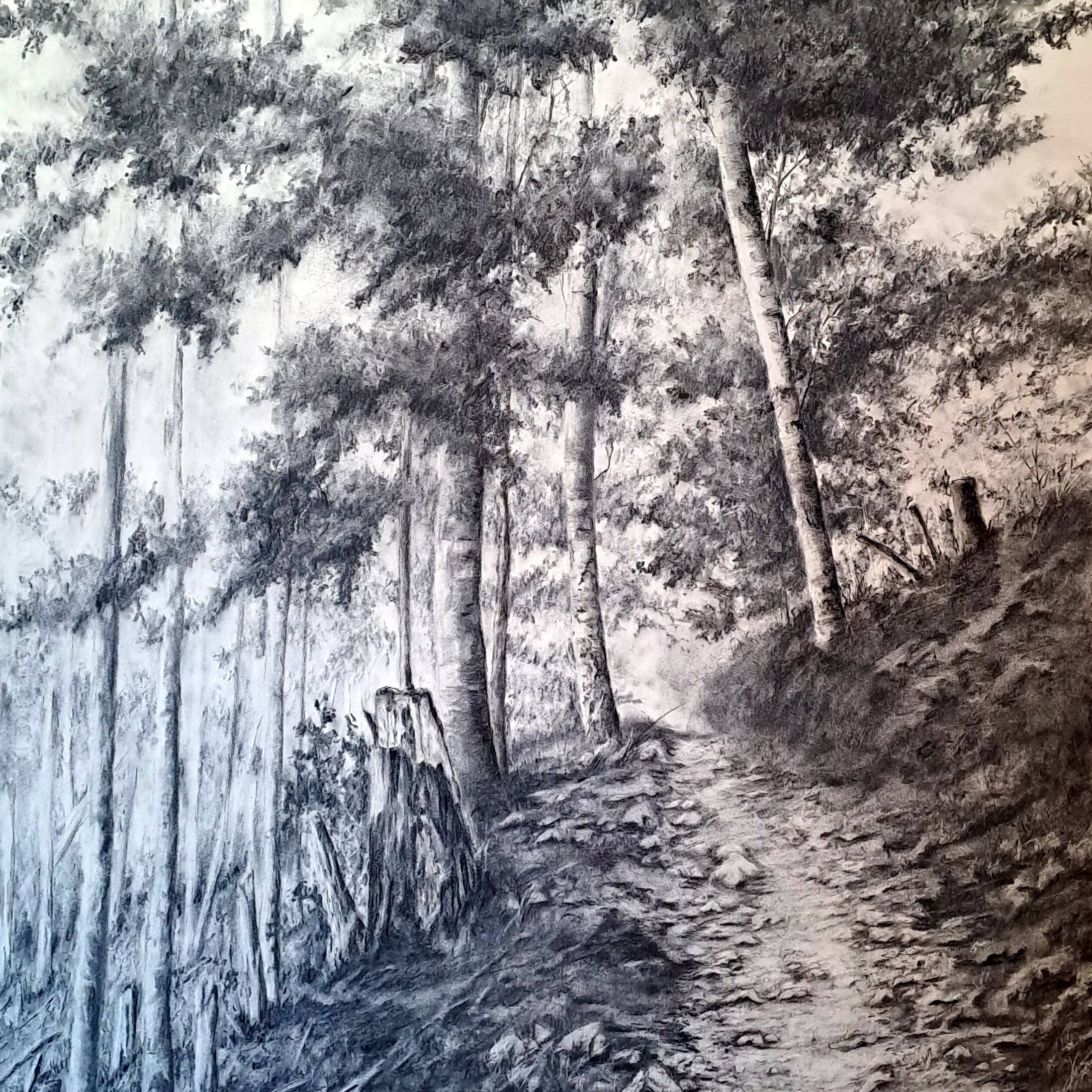 rocky path1.jpg