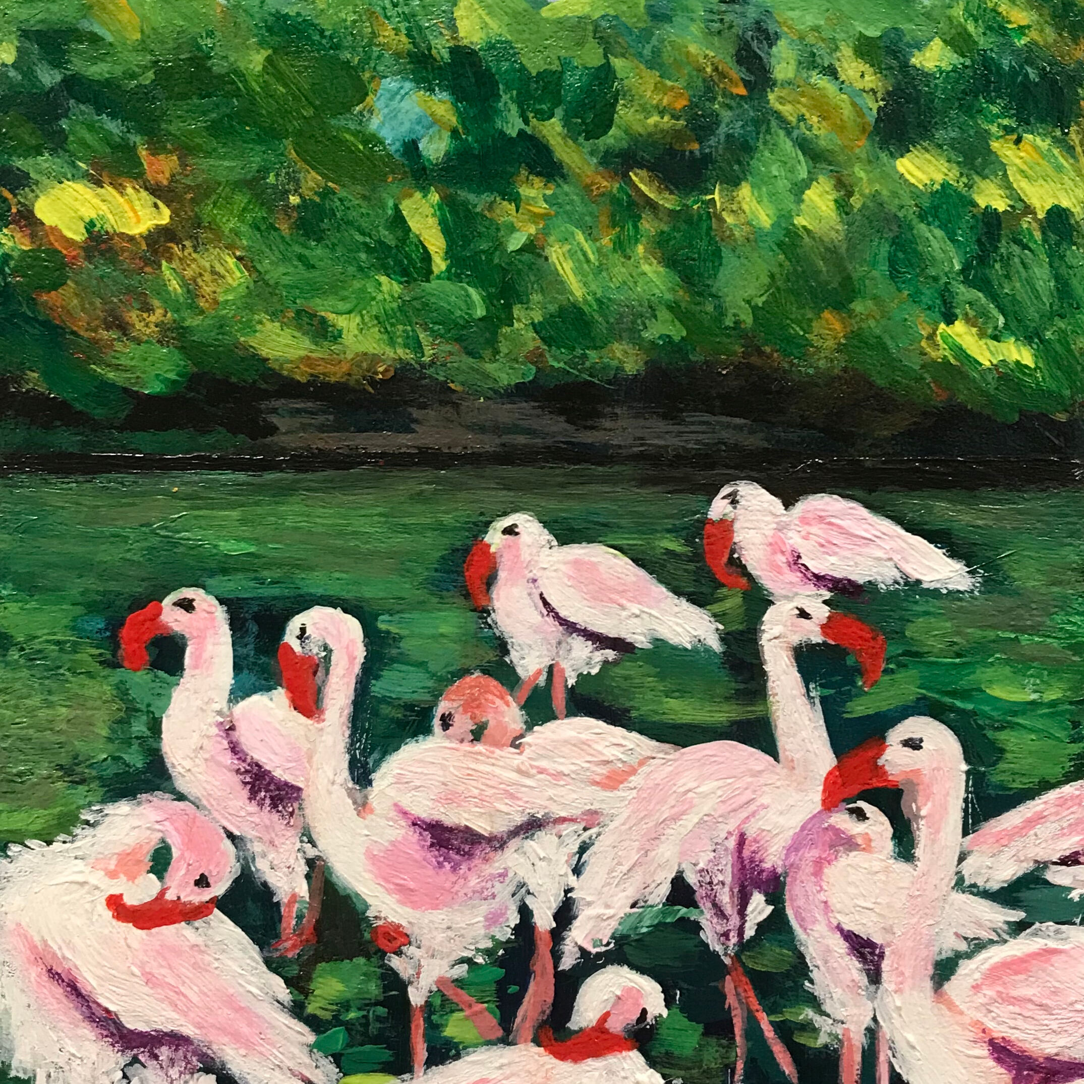 Flamingoes