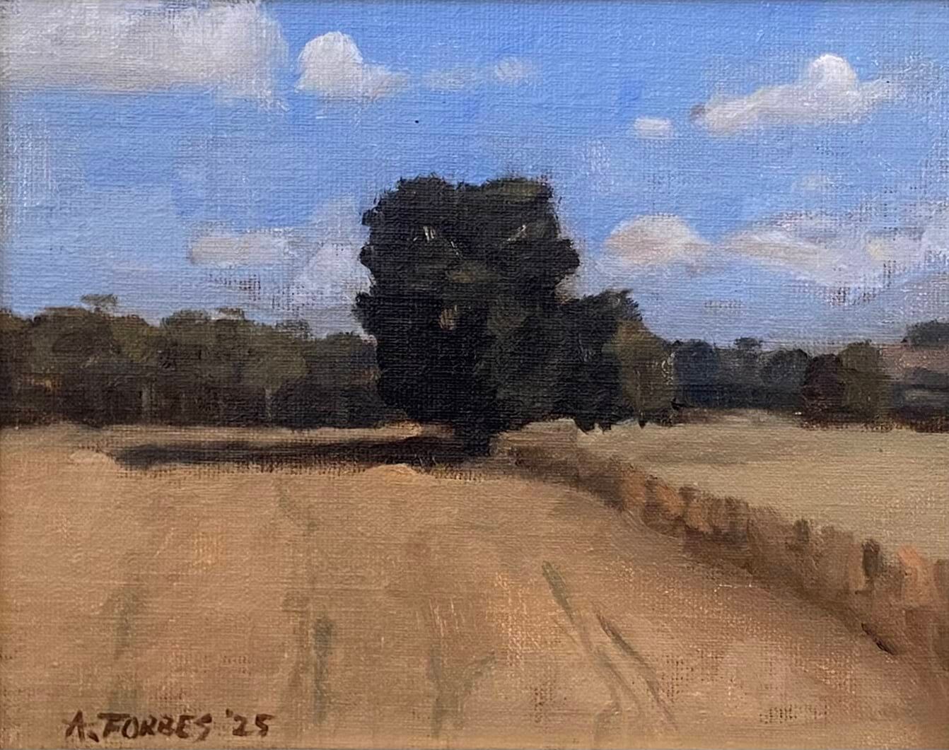landscape 2.jpg