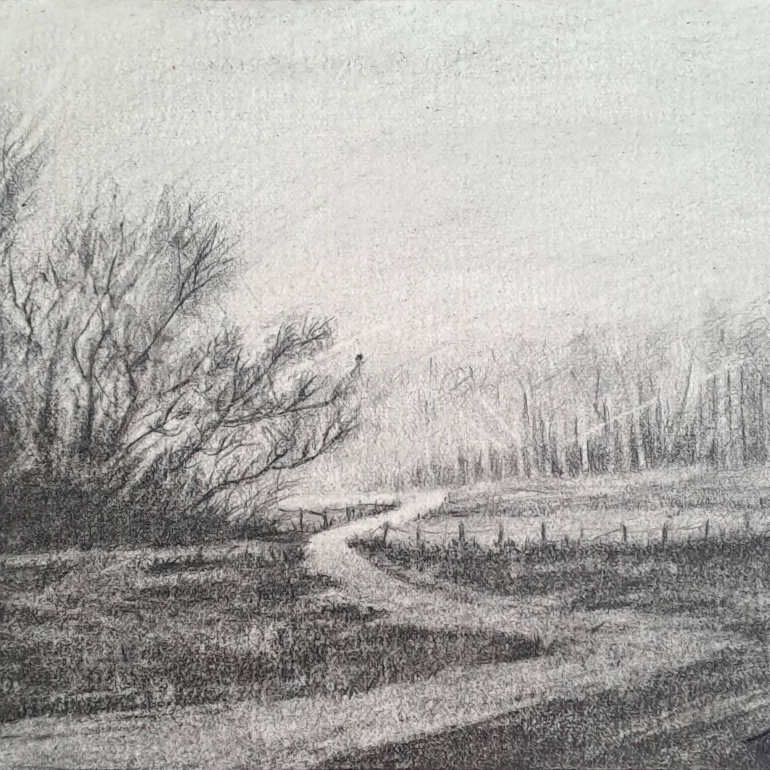 Landscape 2