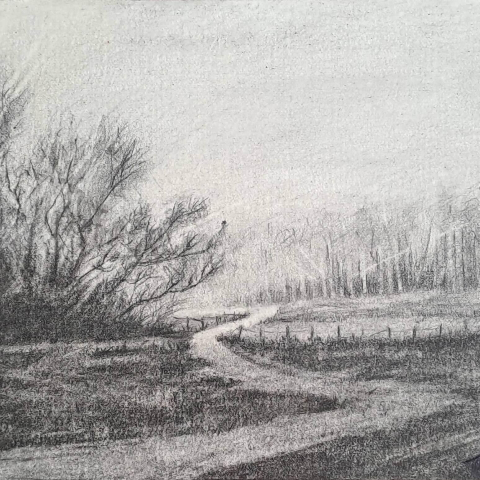 Landscape 2