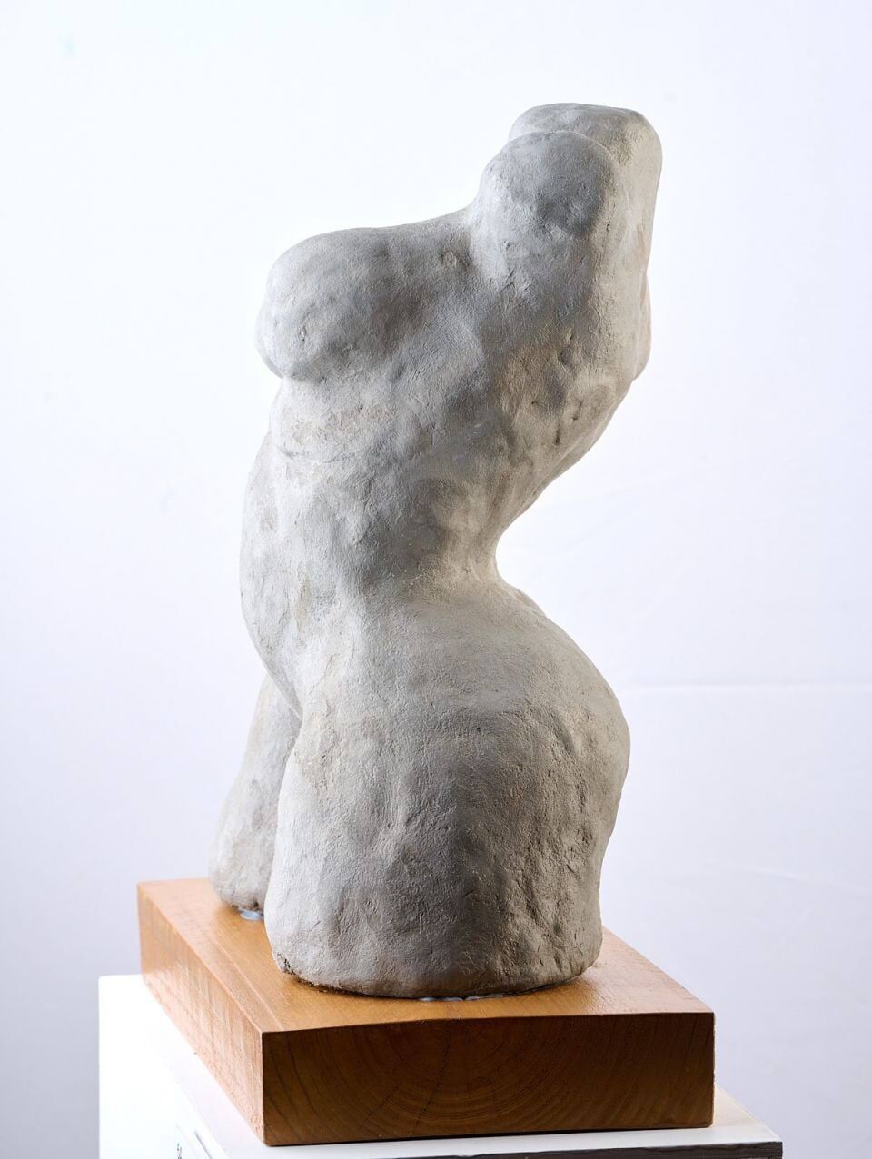 S Curve Pose - Female Torso 064-06__large.jpg