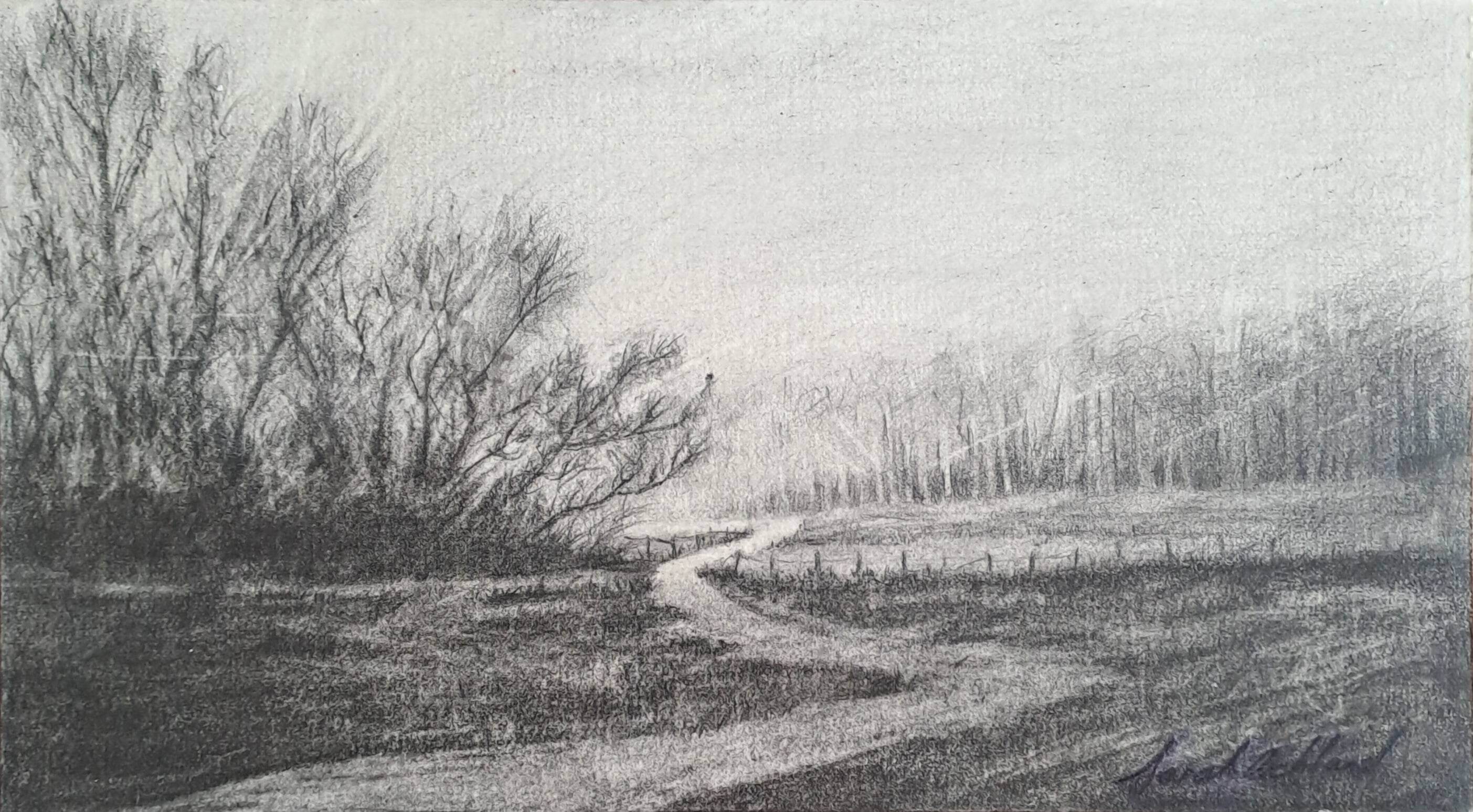 Landscape 2