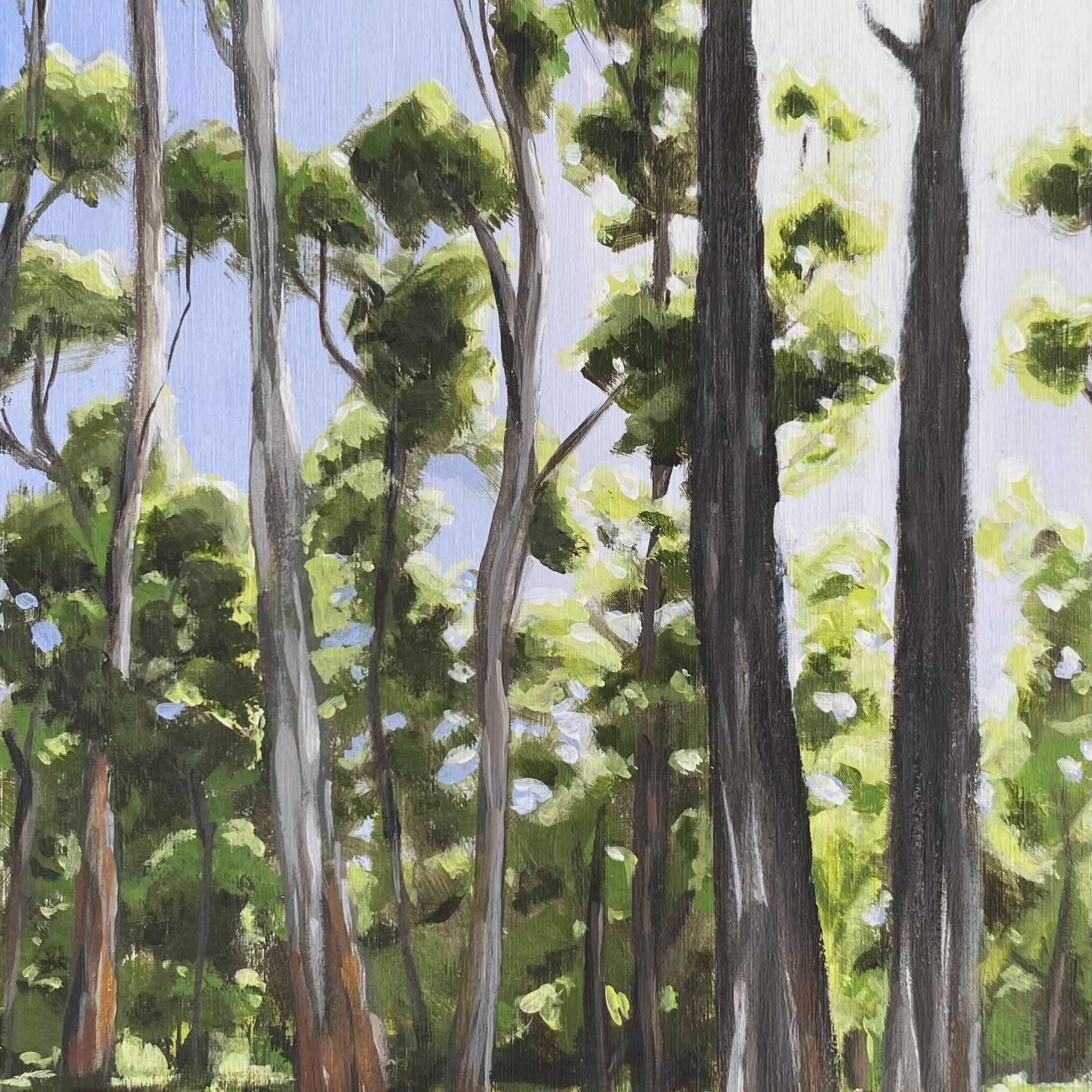 Alison Tippett - Midday in May..jpeg