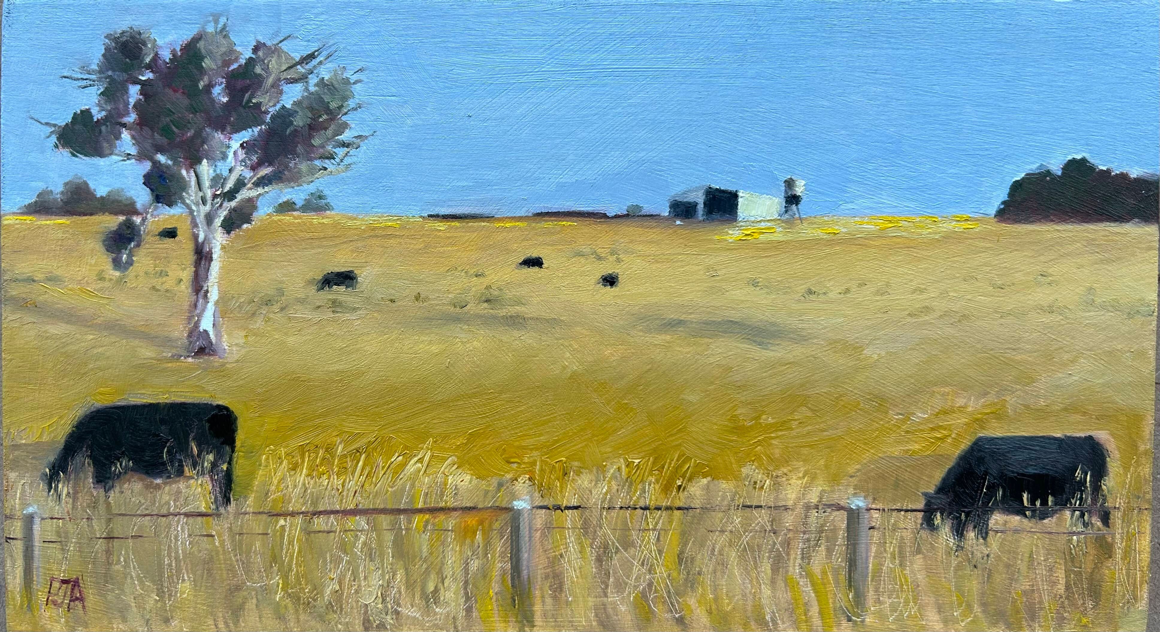 Last light on the hill, Wollogorang