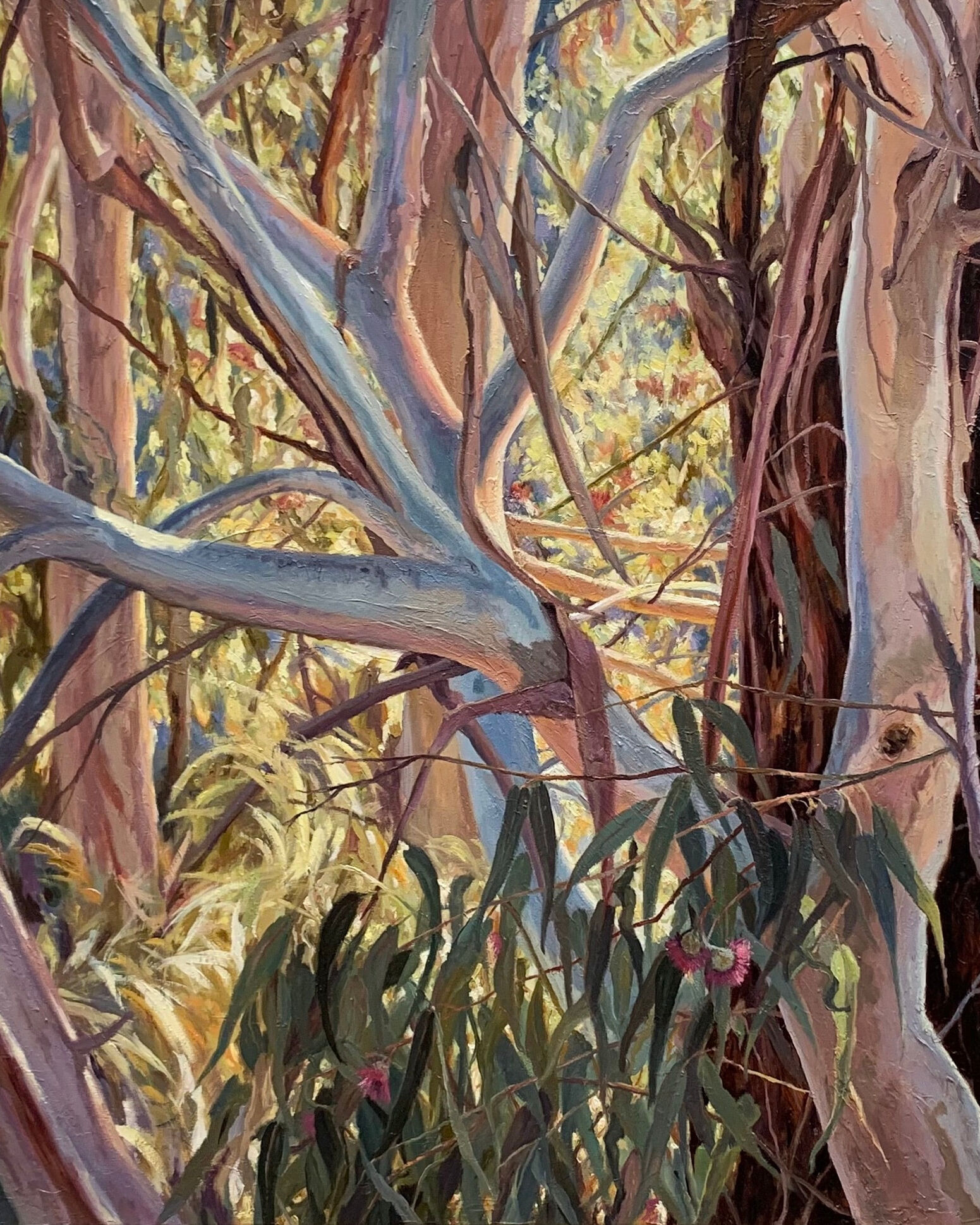 Gwen Krumins_Senorous Bushland Calls_Cropped_WINNER 2022 copy