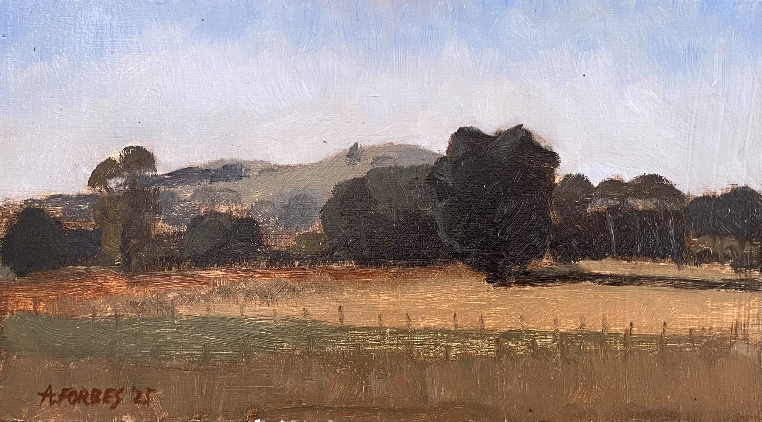9x5 Clarkes Hill.png