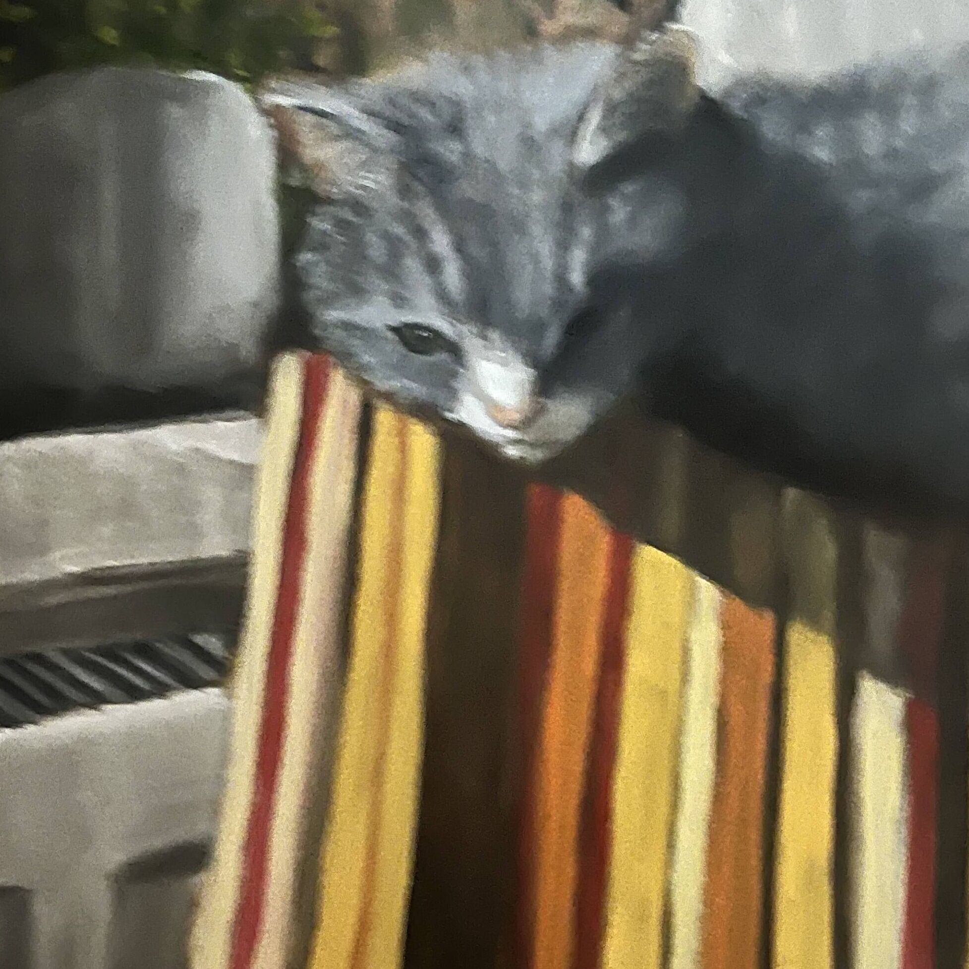 Perfect spot (Edit)