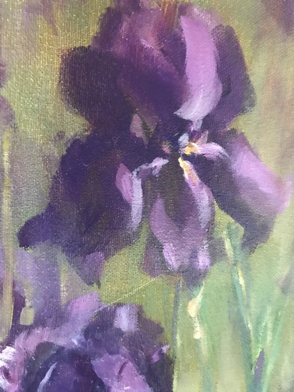 Irises%202