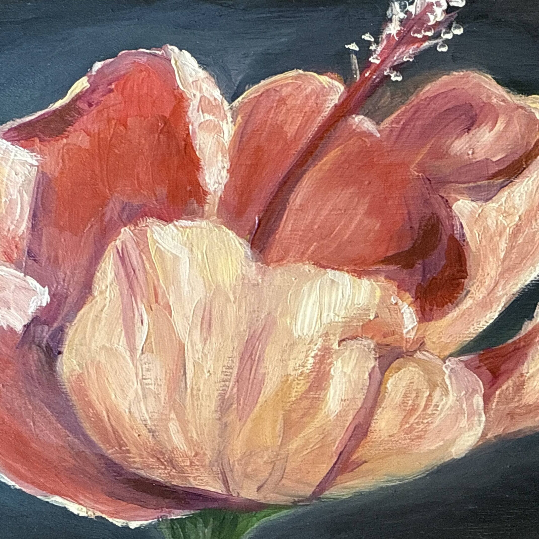 Pink Flower (Edit)