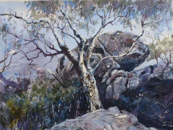 590-MWade-Grampians