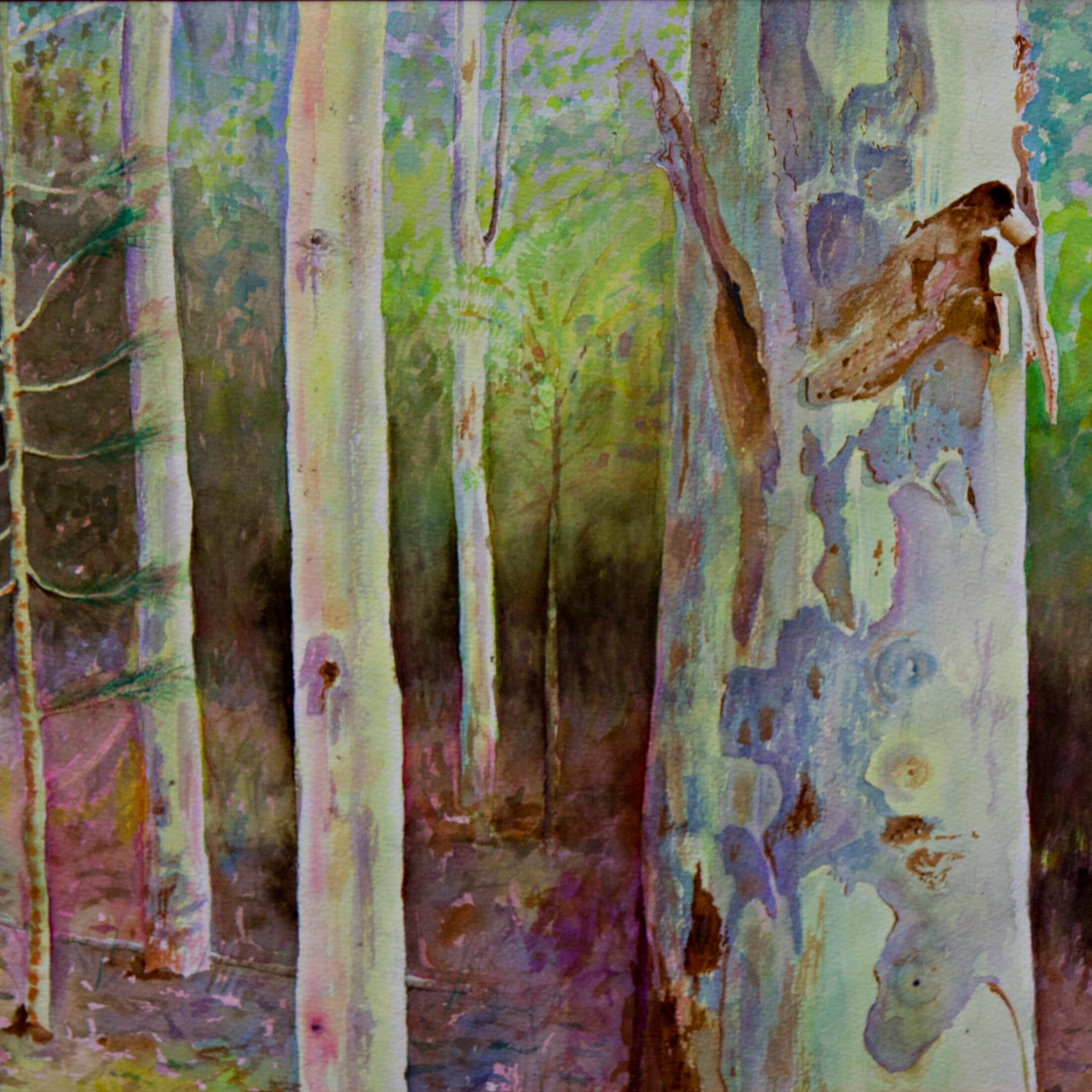 Shoalhaven Trees.jpg
