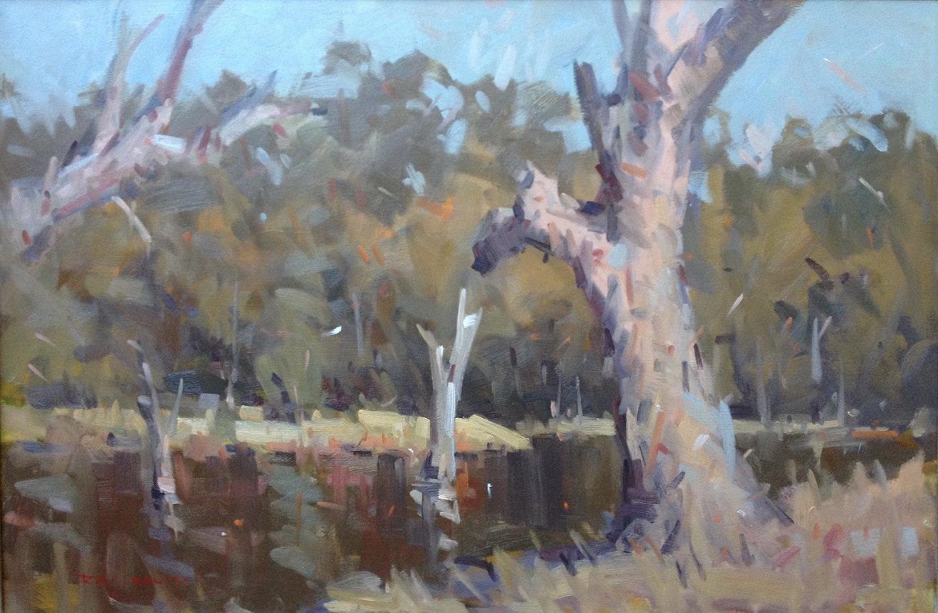 'River Gums' by Ray Hewitt, Winner Spring 2015