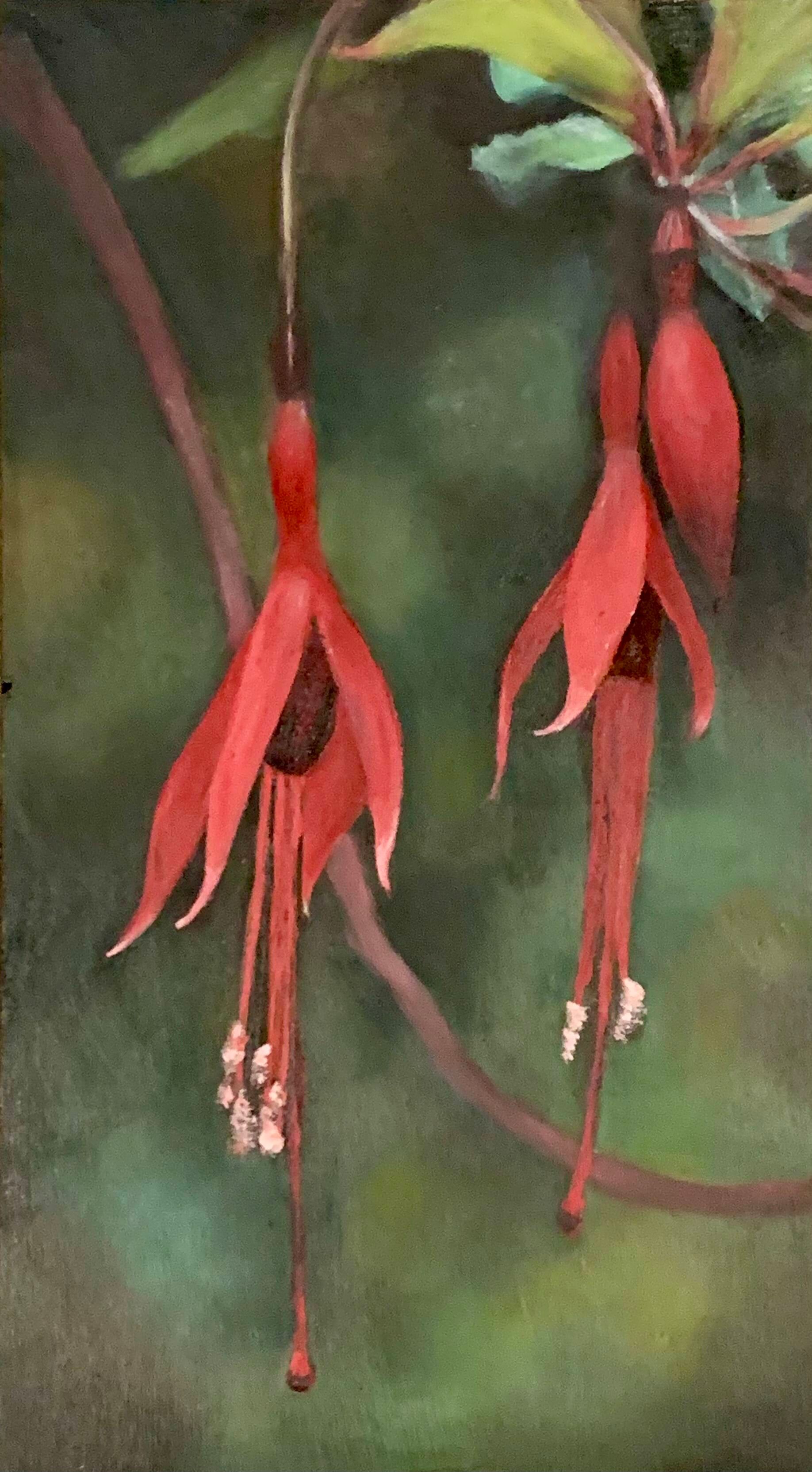 'Fuschias' Marg Picken Oil on board 9%22 x 5%22.jpeg