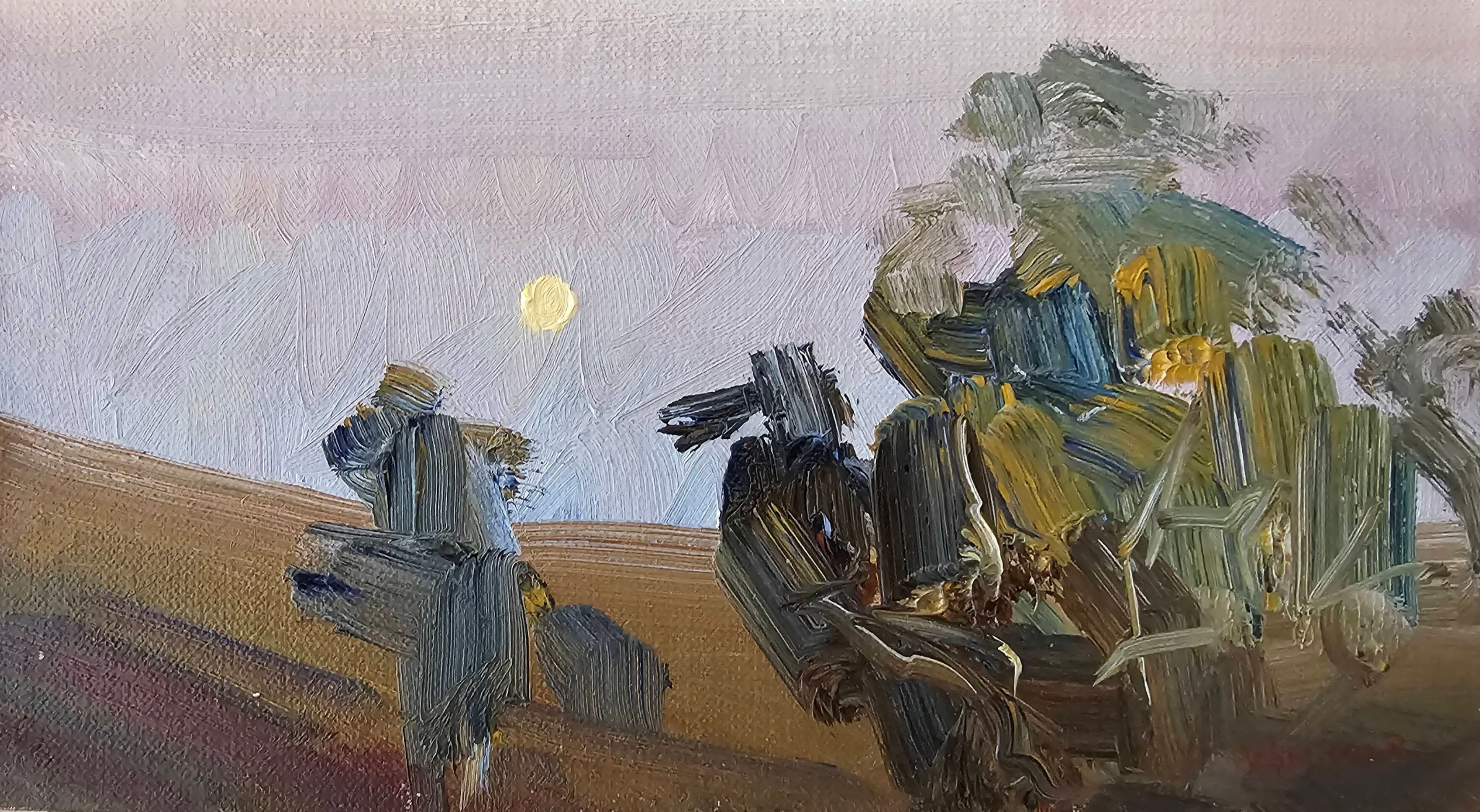 Flinders Ranges dusk moon.