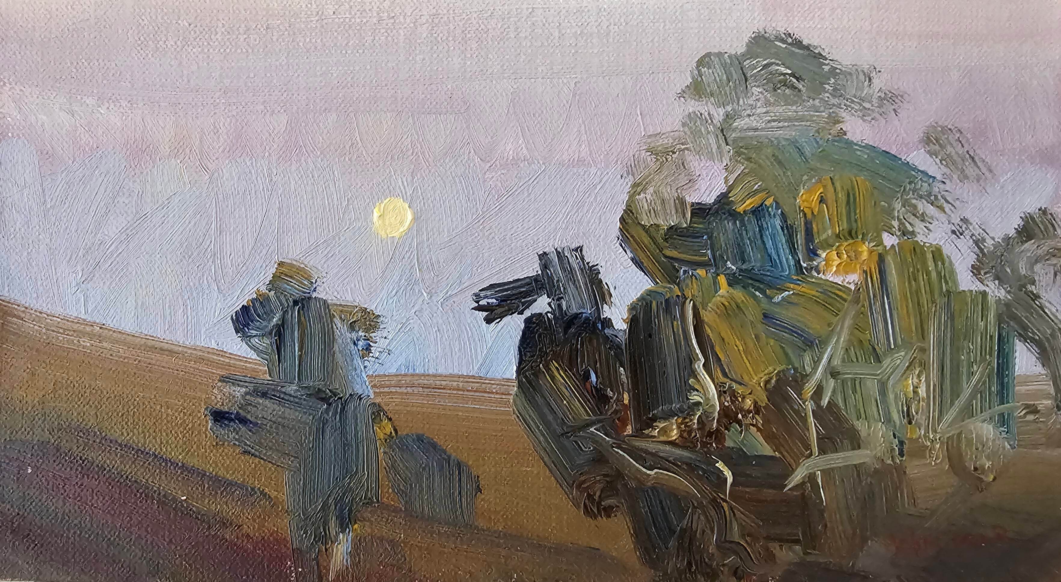 Flinders Ranges dusk moon.