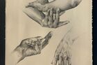 Alice Martin A Study of Hands