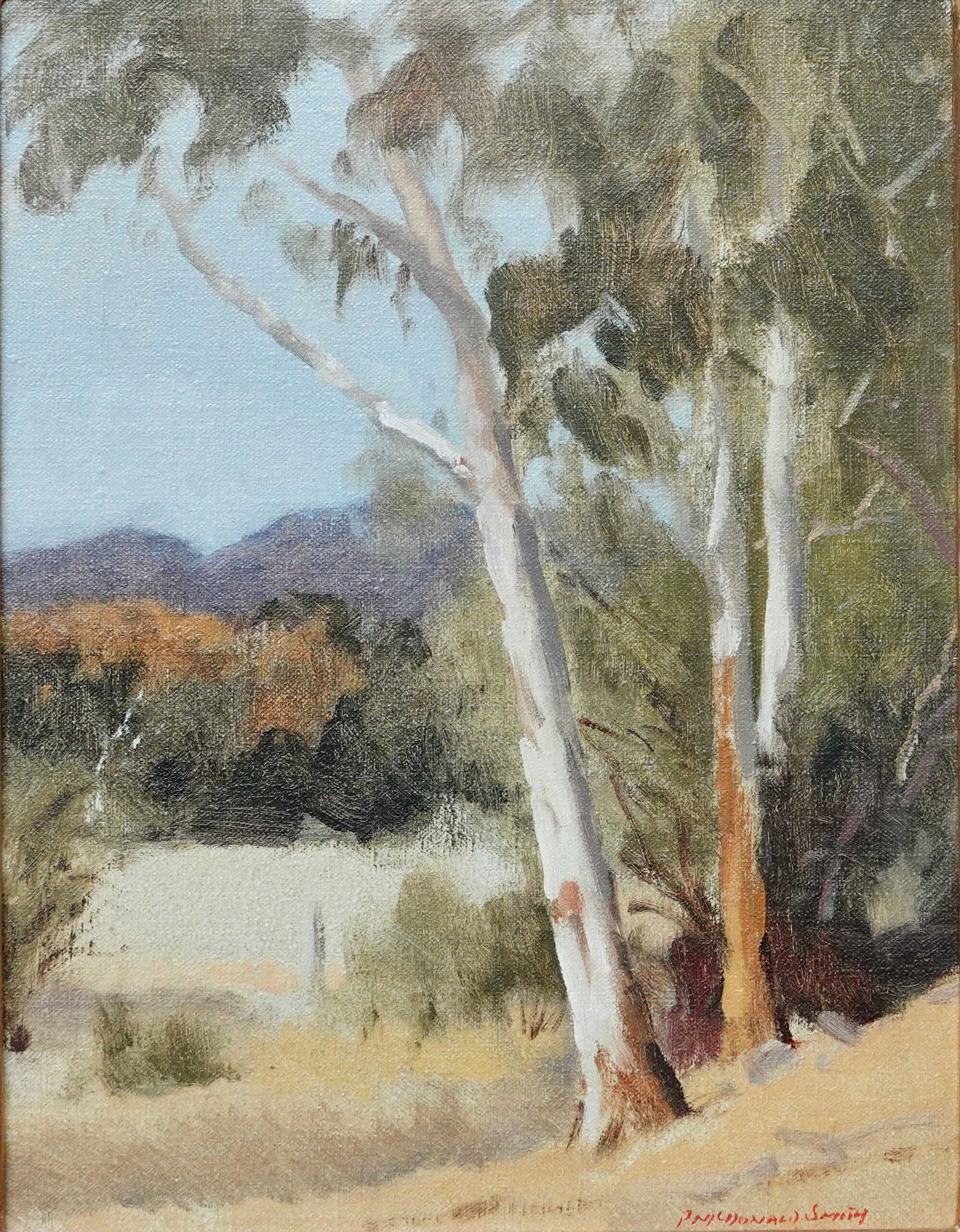 90. Paul McDonald Smith - Roadside Gums