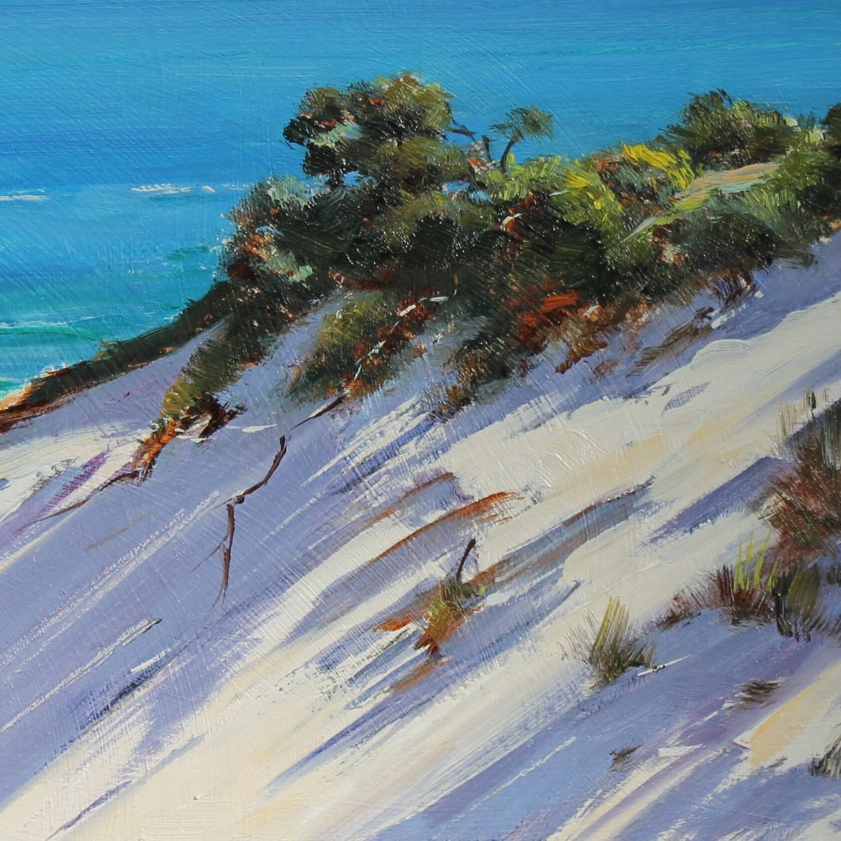 Dune Bass Coast