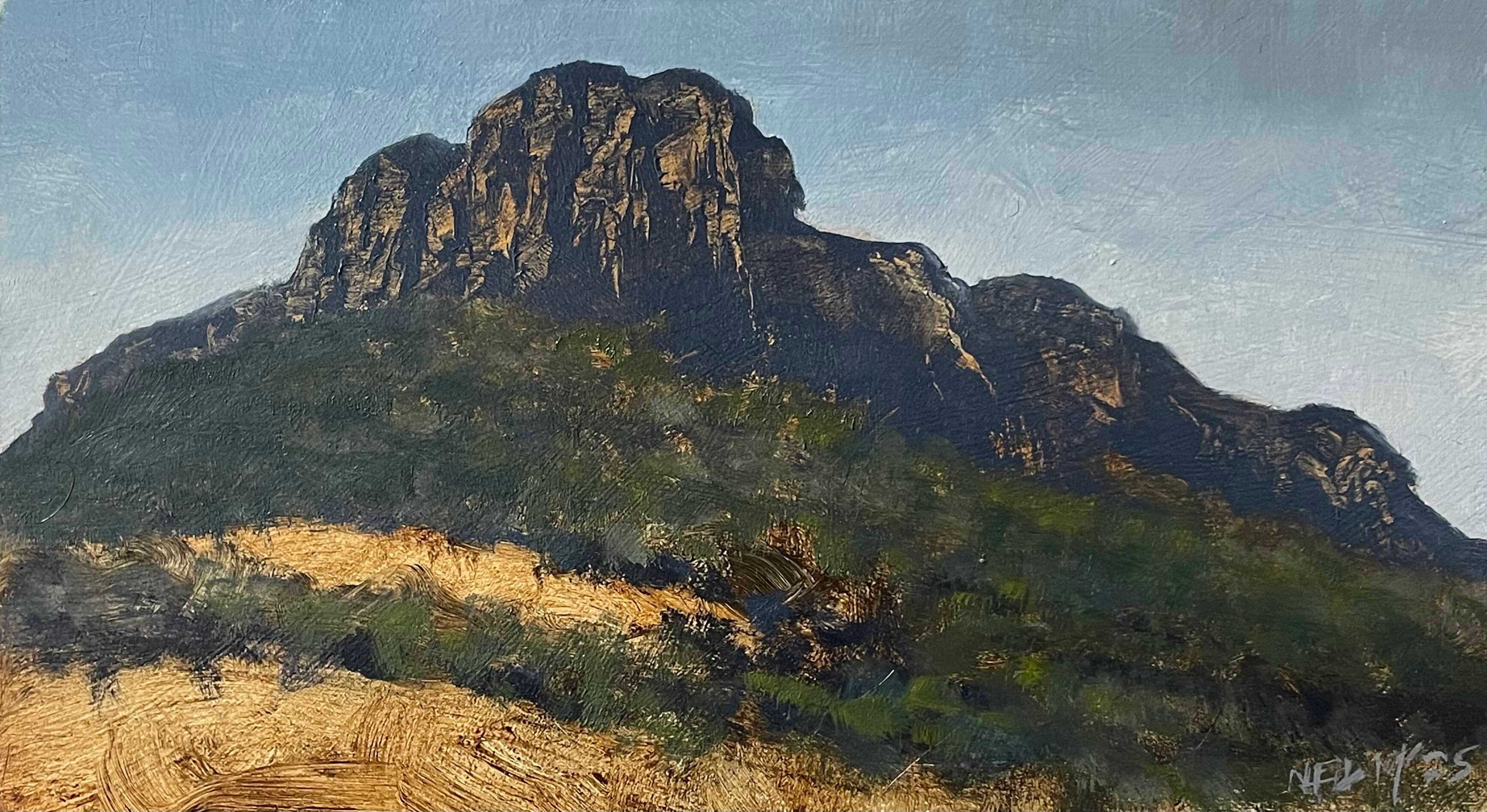 NeilMcIrvineTheGrampians2.jpeg