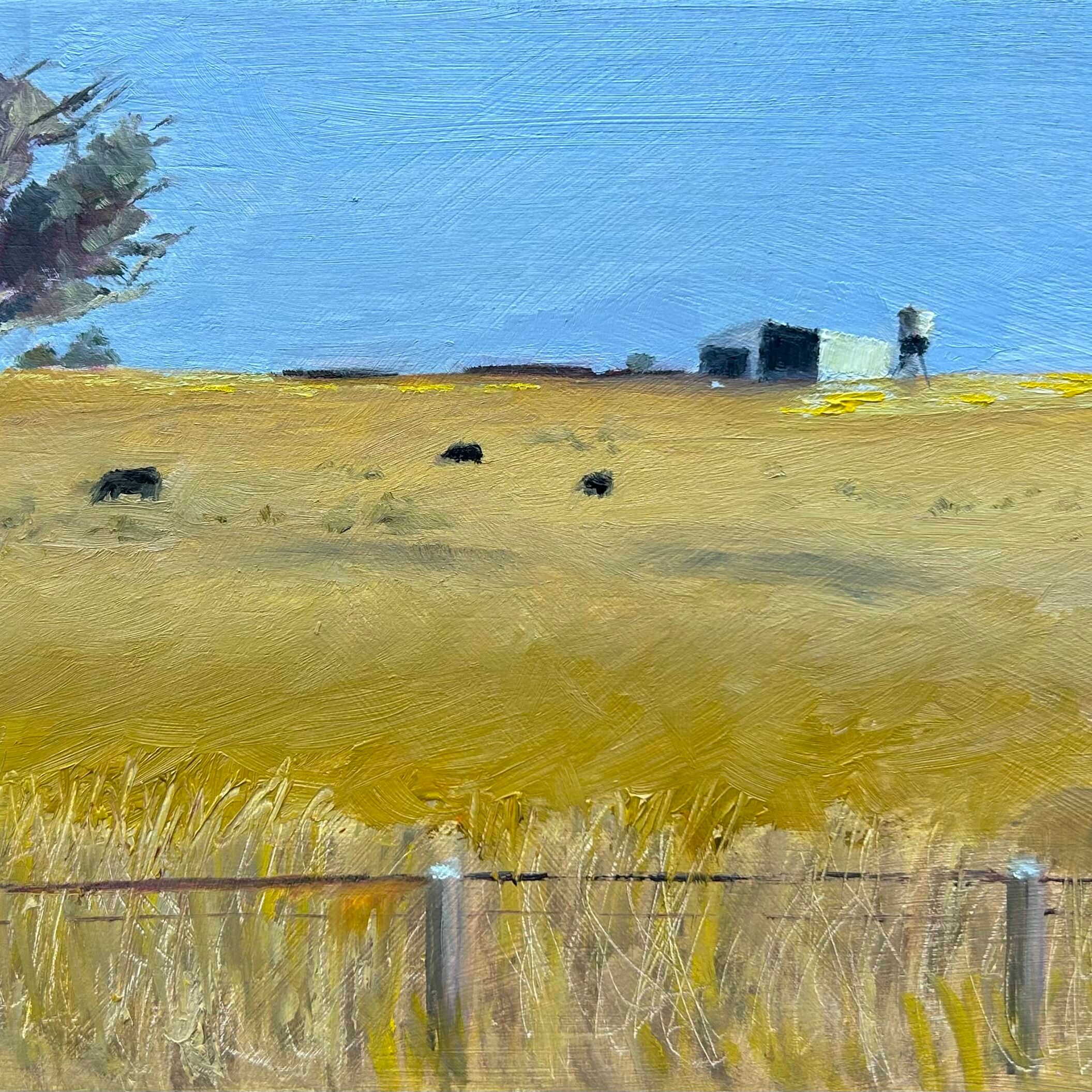 Last light on the hill, Wollogorang