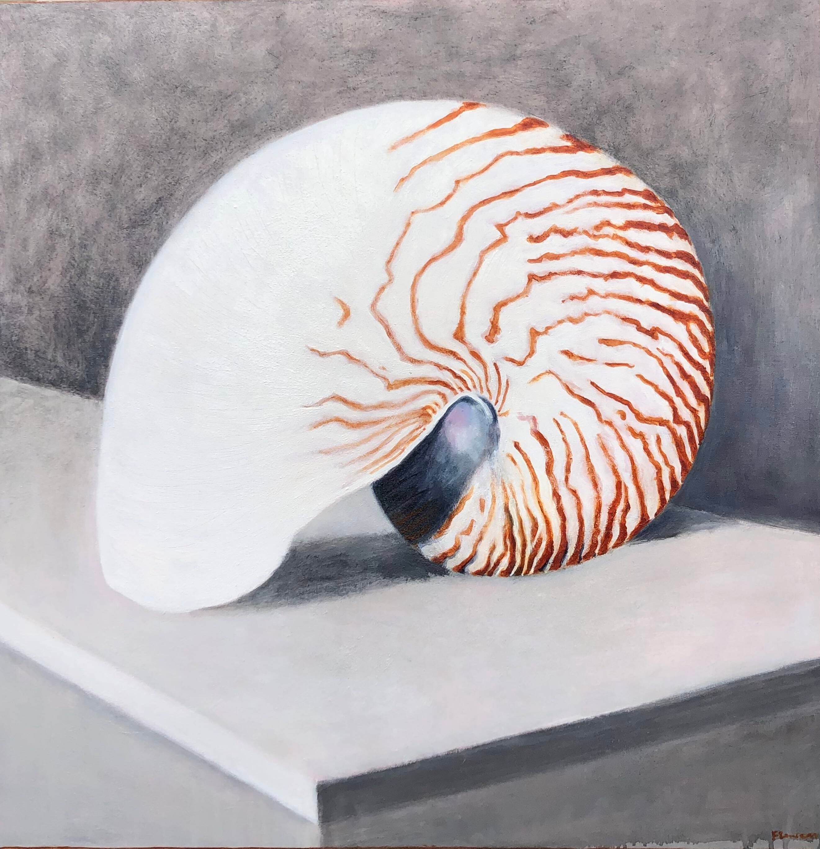 Nautilus.jpg (Edit)