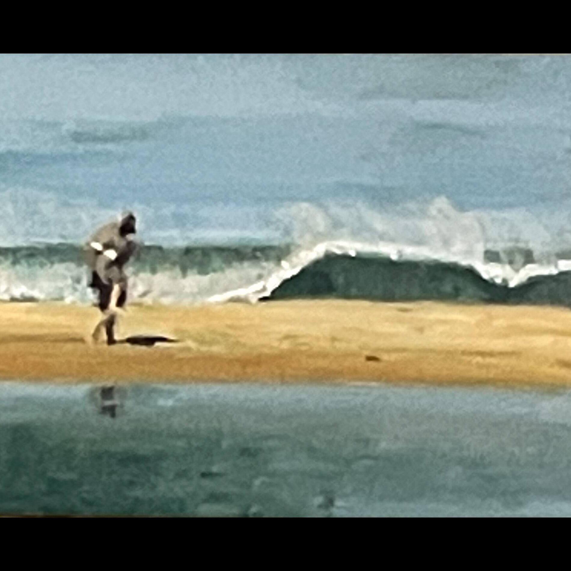 Sanctuary On The Sand Bar.jpg