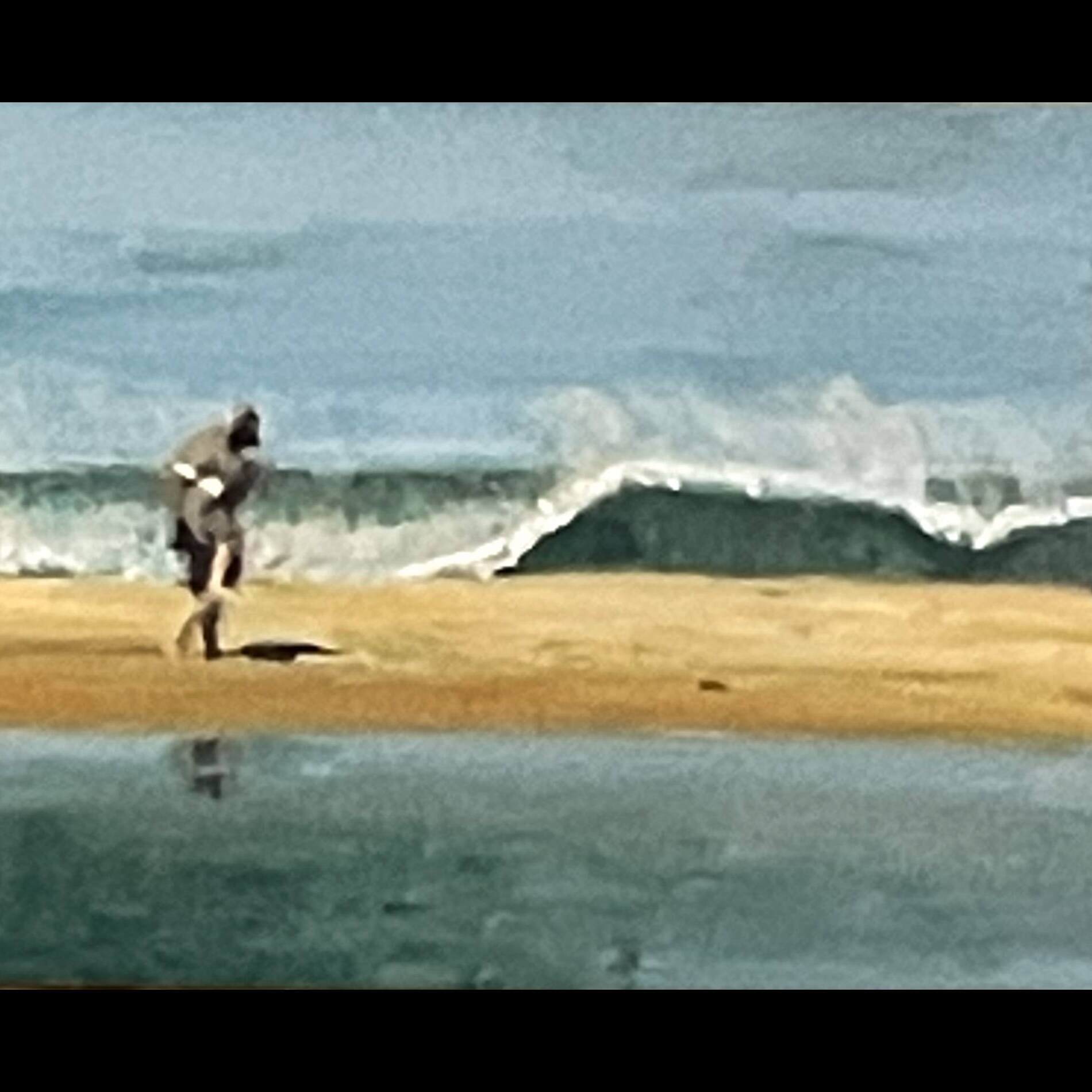 Sanctuary On The Sand Bar.jpg