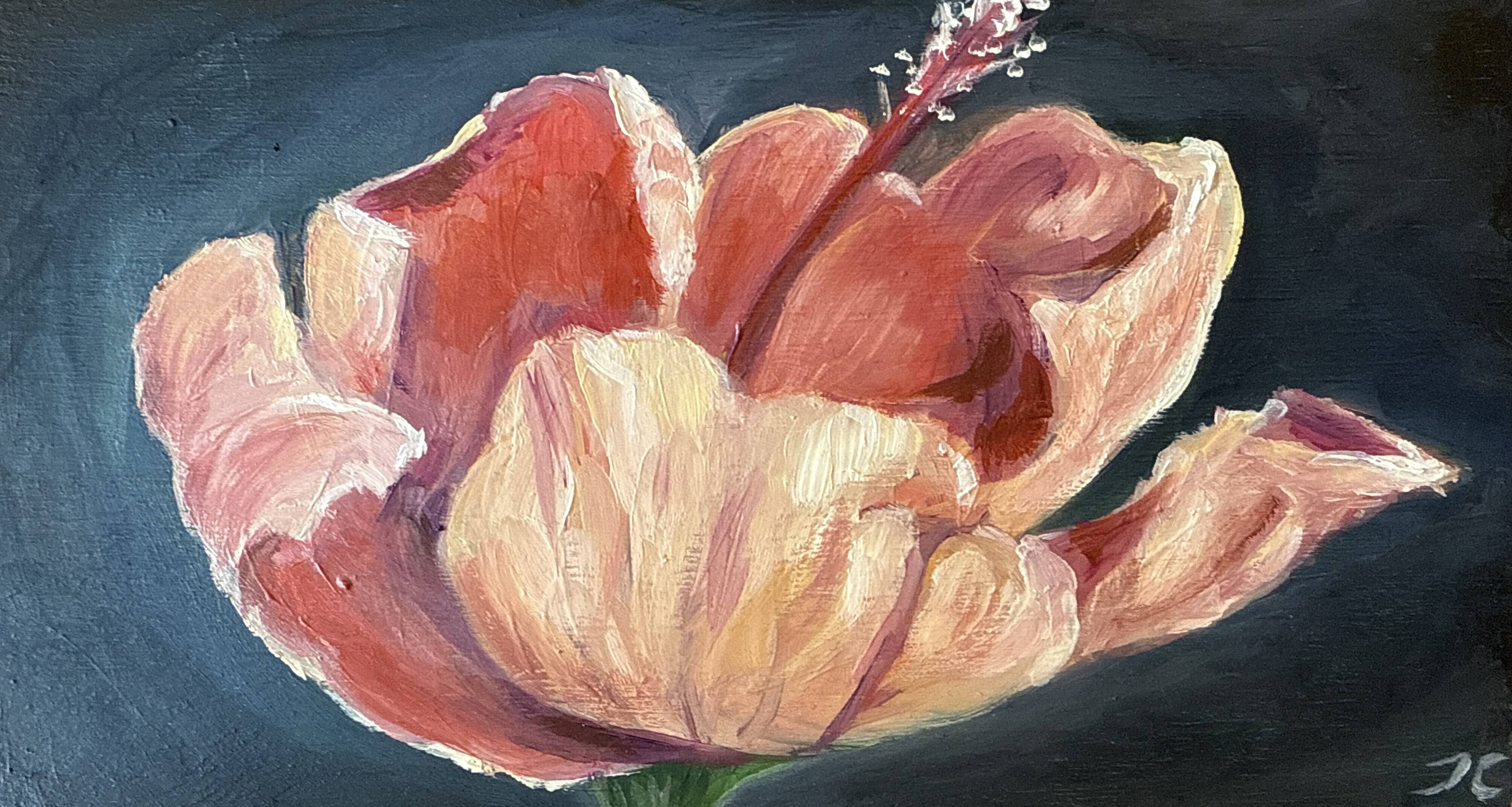 Pink Flower (Edit)