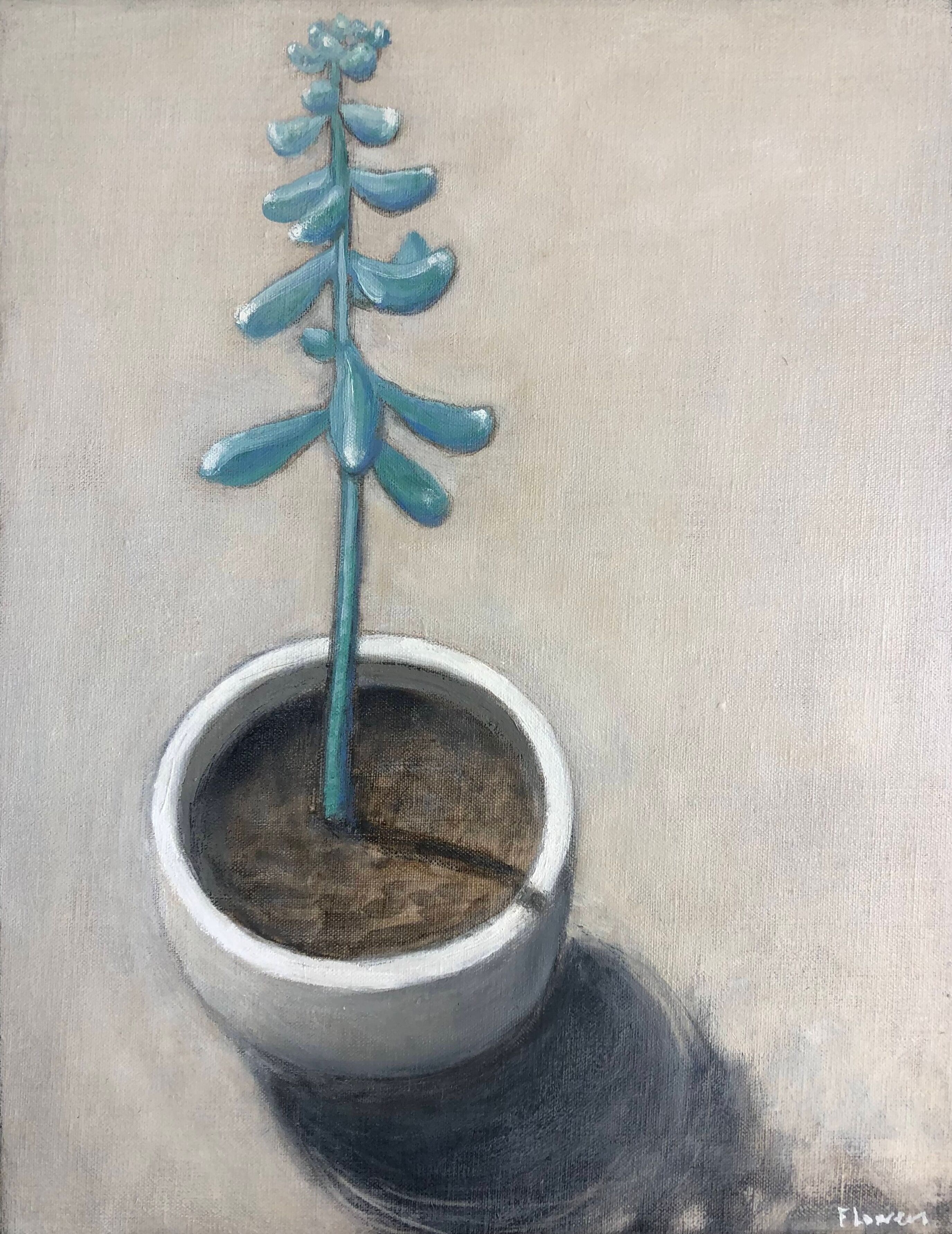 Succulent.jpg (Edit)