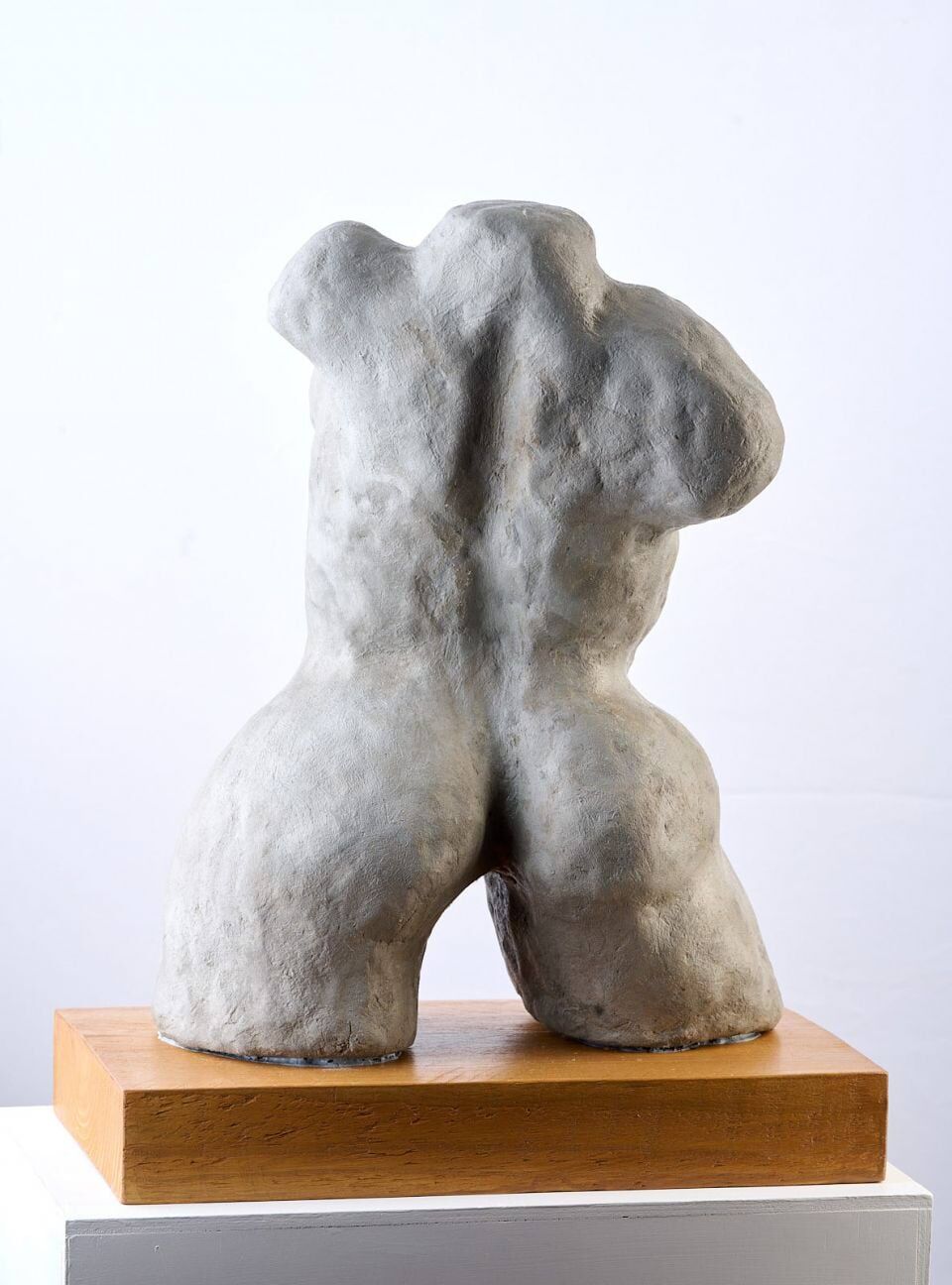 S Curve Pose - Female Torso 064-08__large.jpg