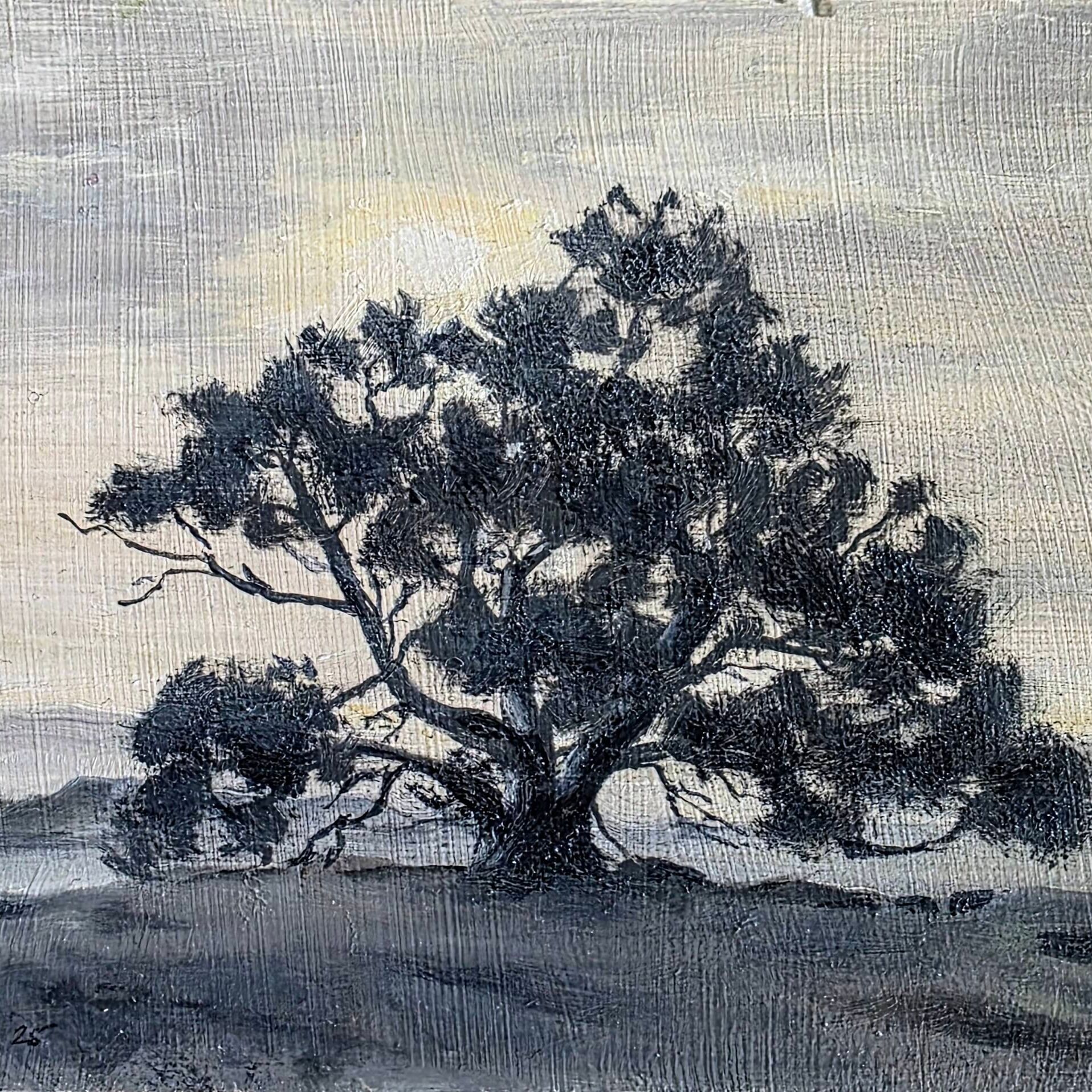 Lucia's tree