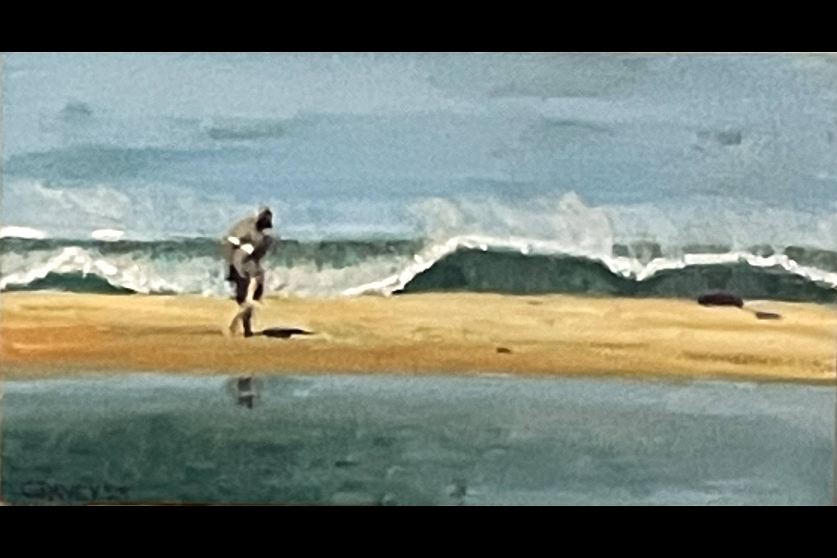 Sanctuary On The Sand Bar.jpg