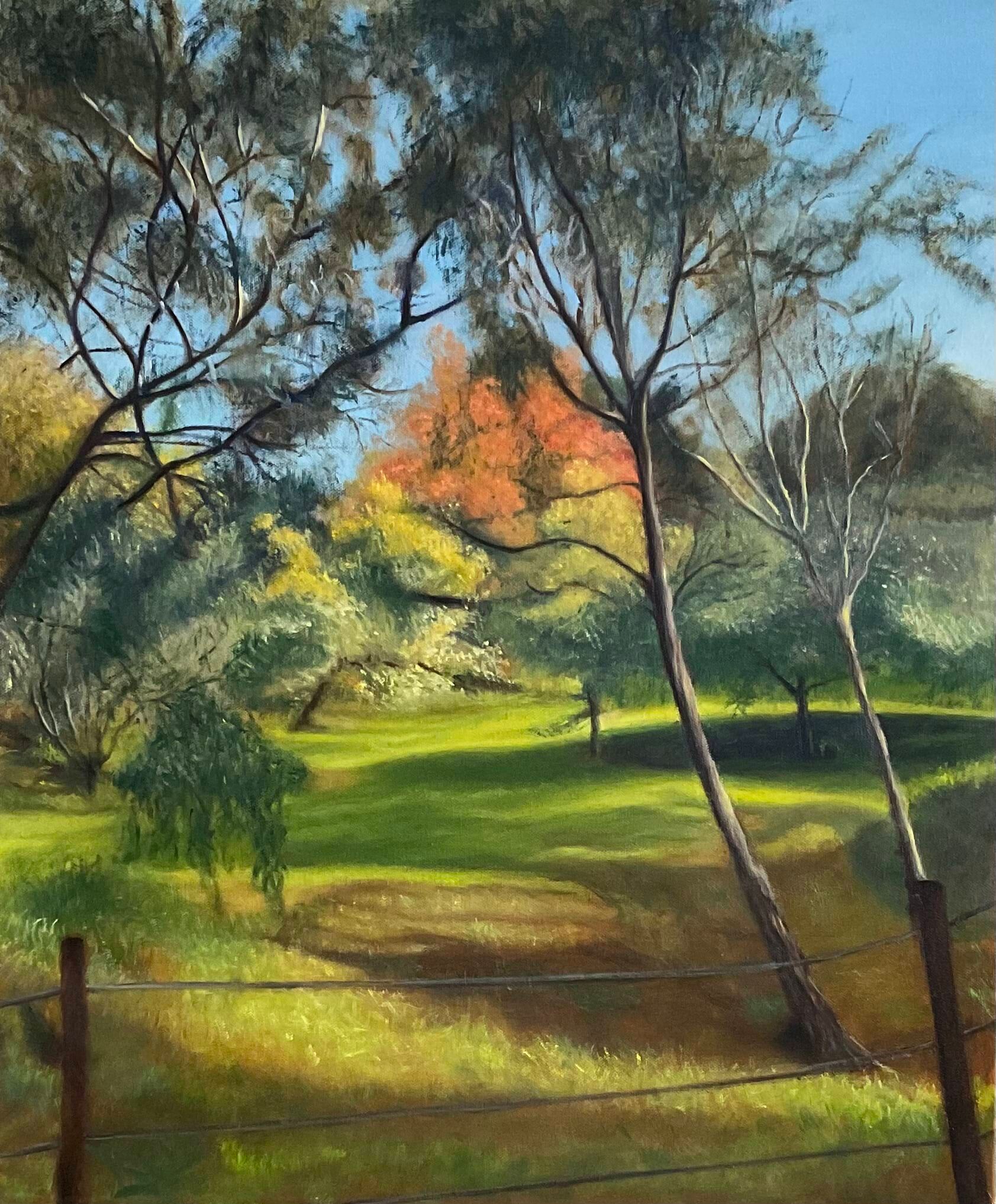 rees-leigh-darebin-parklands1.jpeg