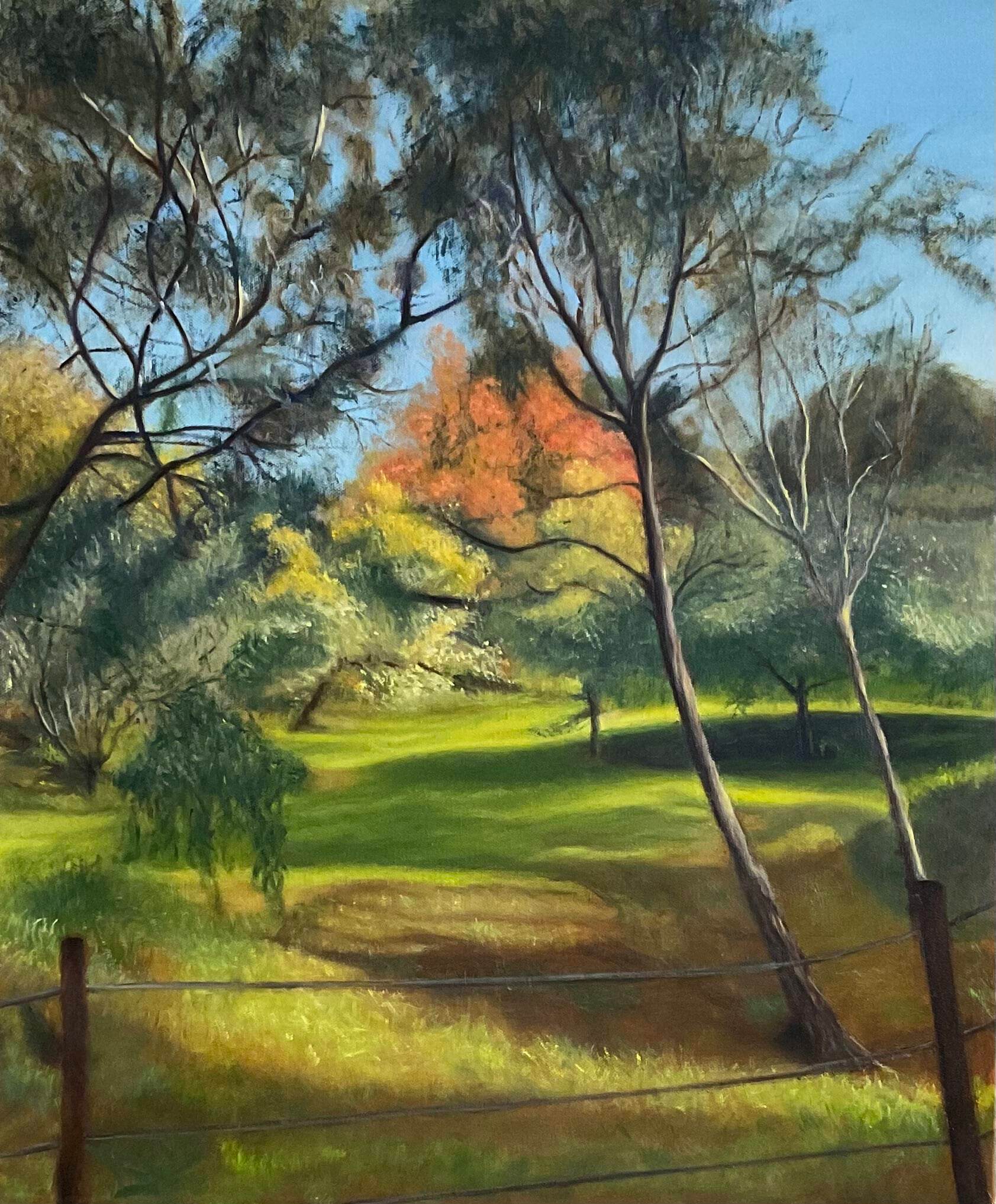 rees-leigh-darebin-parklands1.jpeg