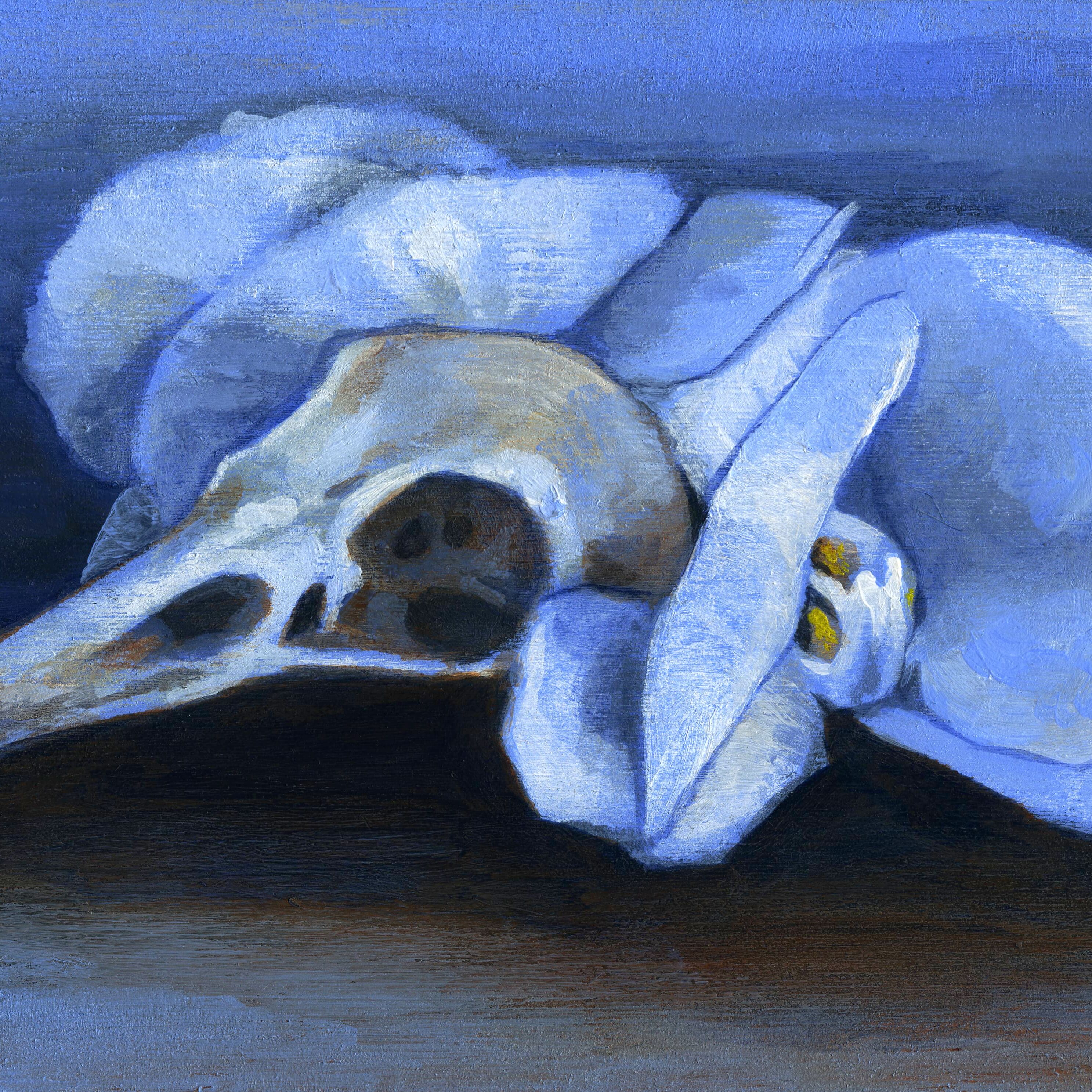 SkullOrchid.jpeg