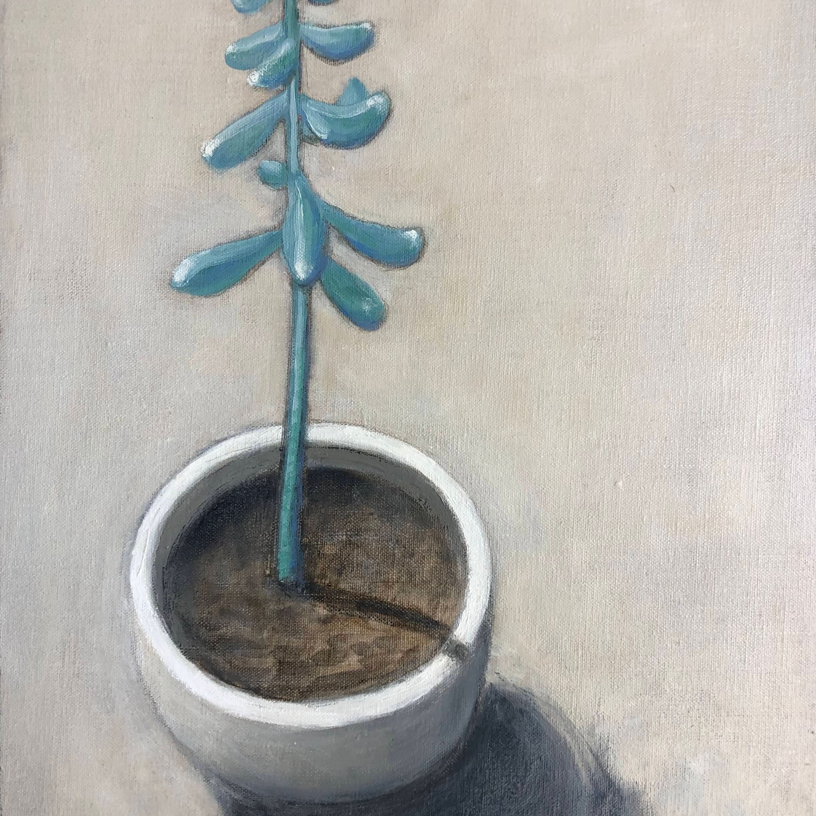 Succulent.jpg (Edit)
