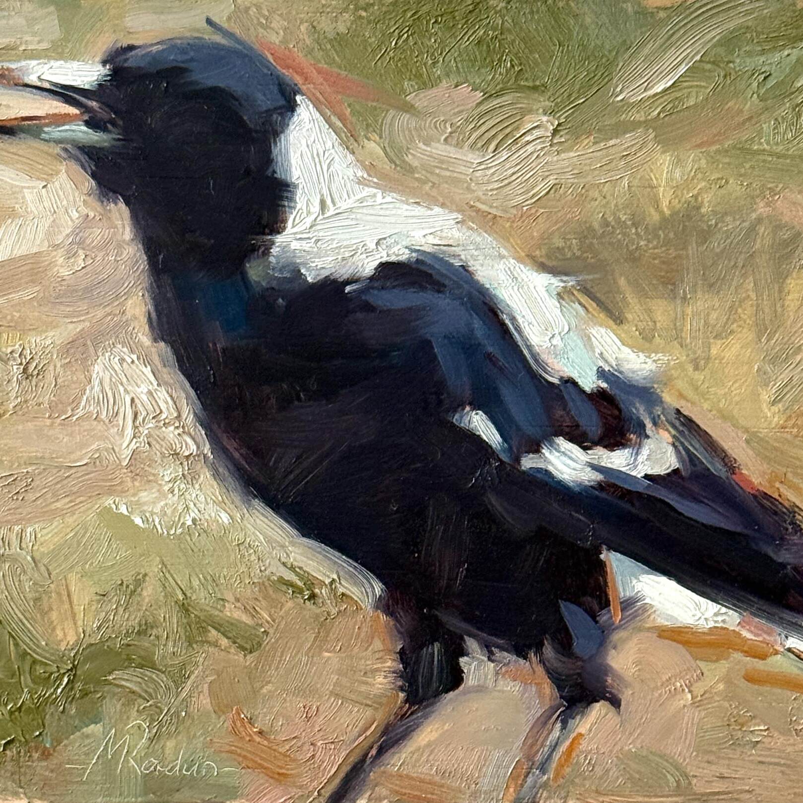 Magpie 34