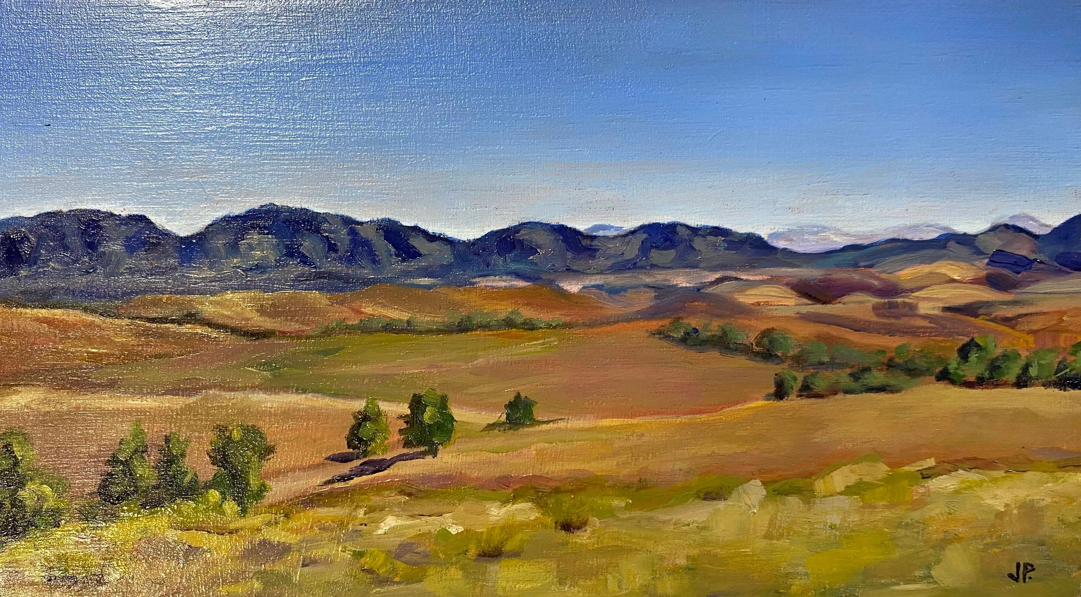 Willow Springs, Flinders Ranges (Edit)