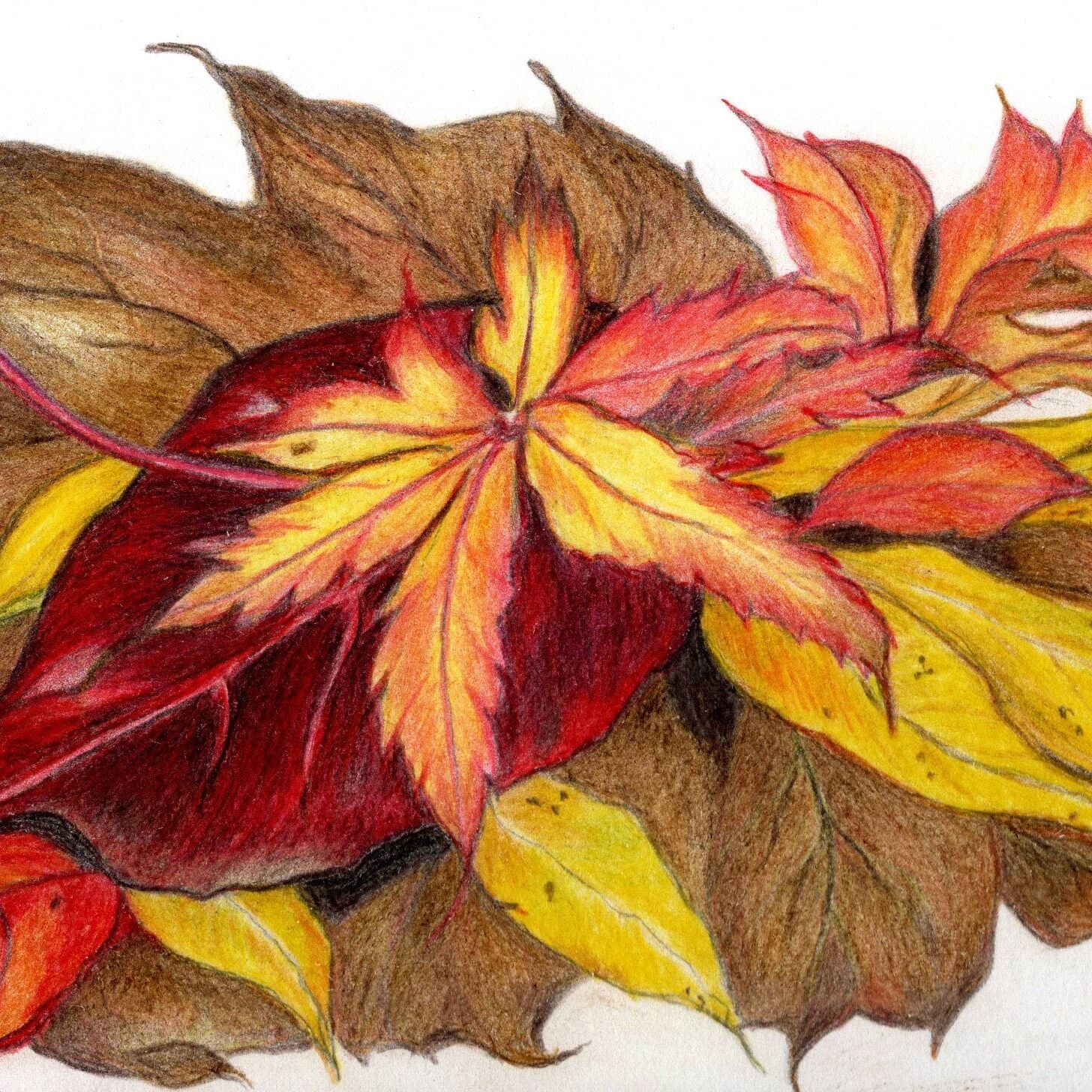 Conclave Leaves.jpg