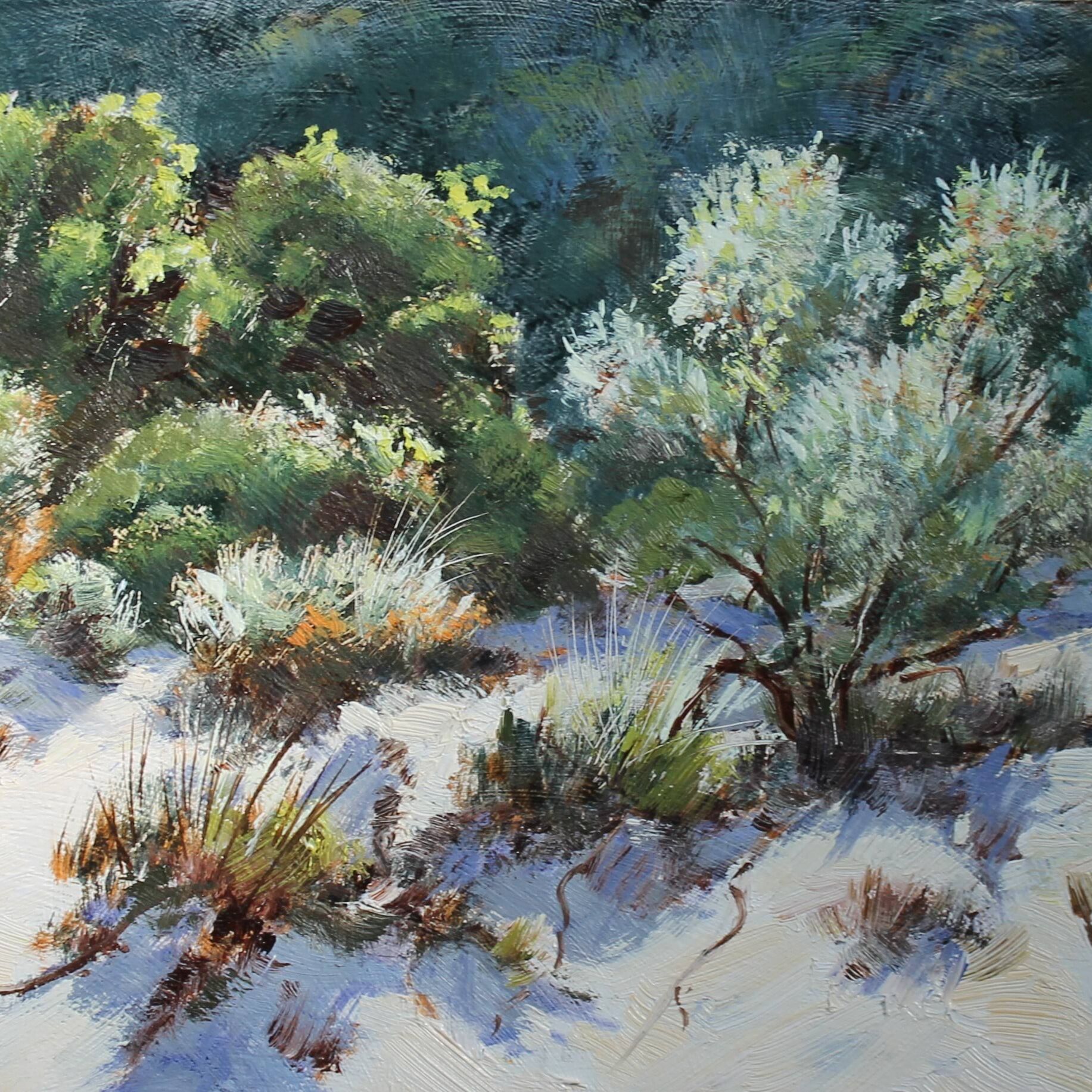 Adrian Johnson Coastal Flora Oil 9x5.JPG