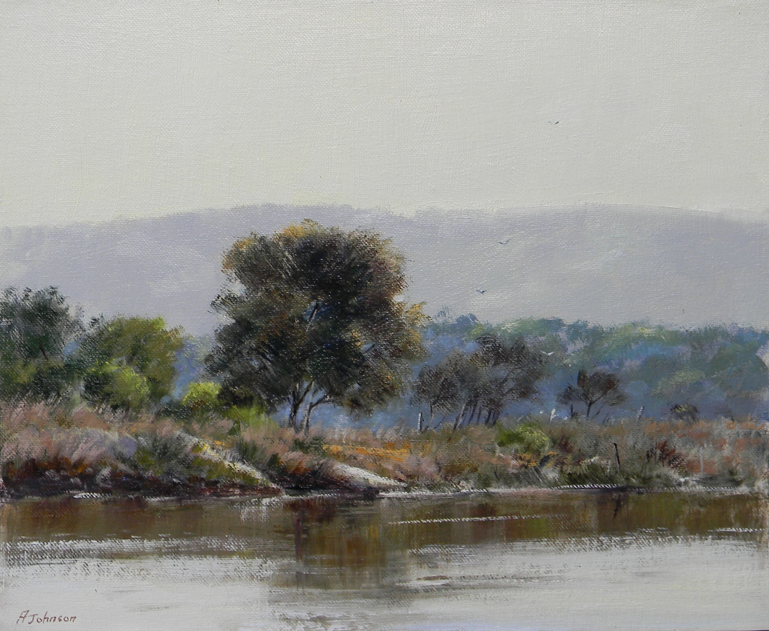 Adrian Johnson Powlett River Reflections