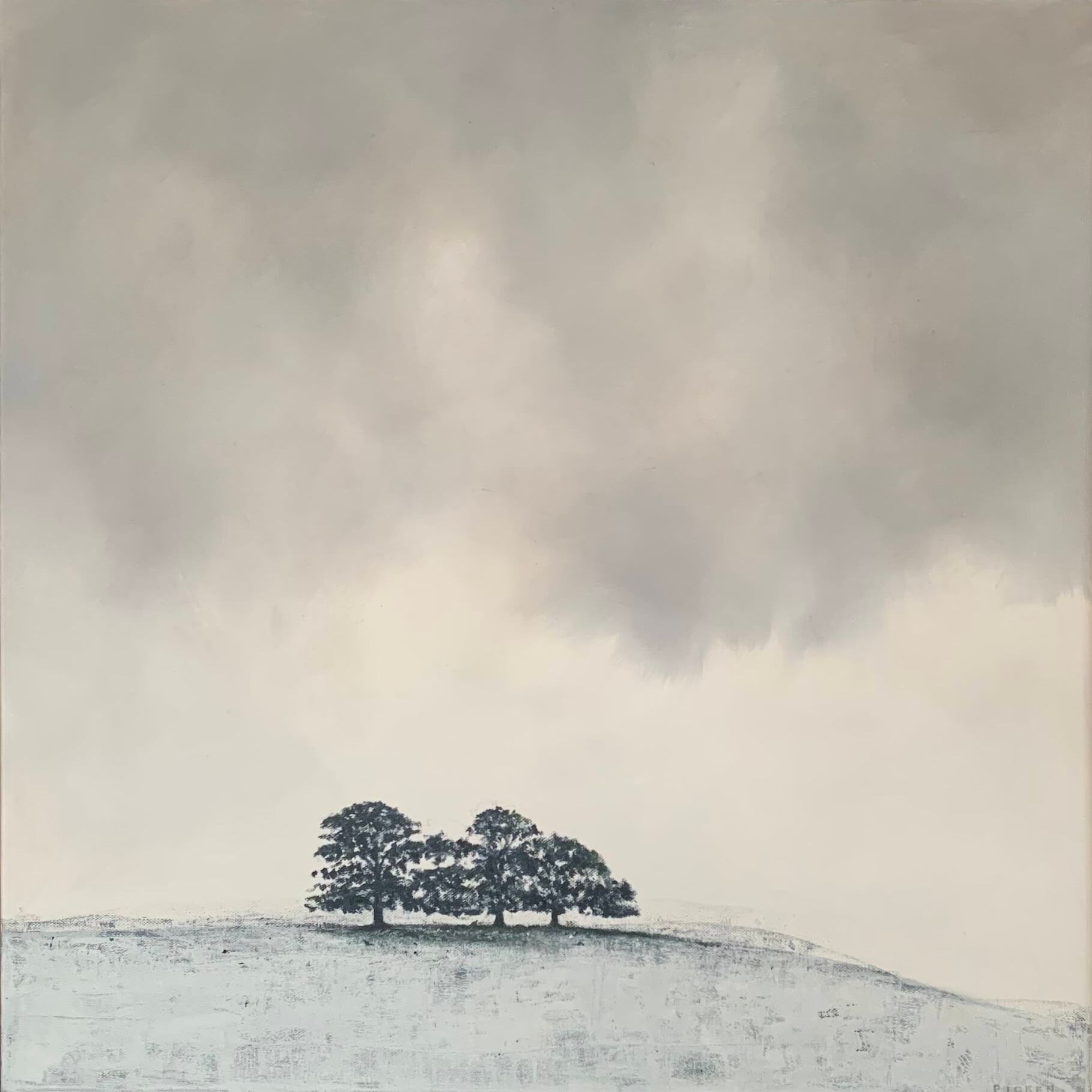 On Higher Ground Marg Picken Oil on stretched canvas 40 x 40 cms.jpg