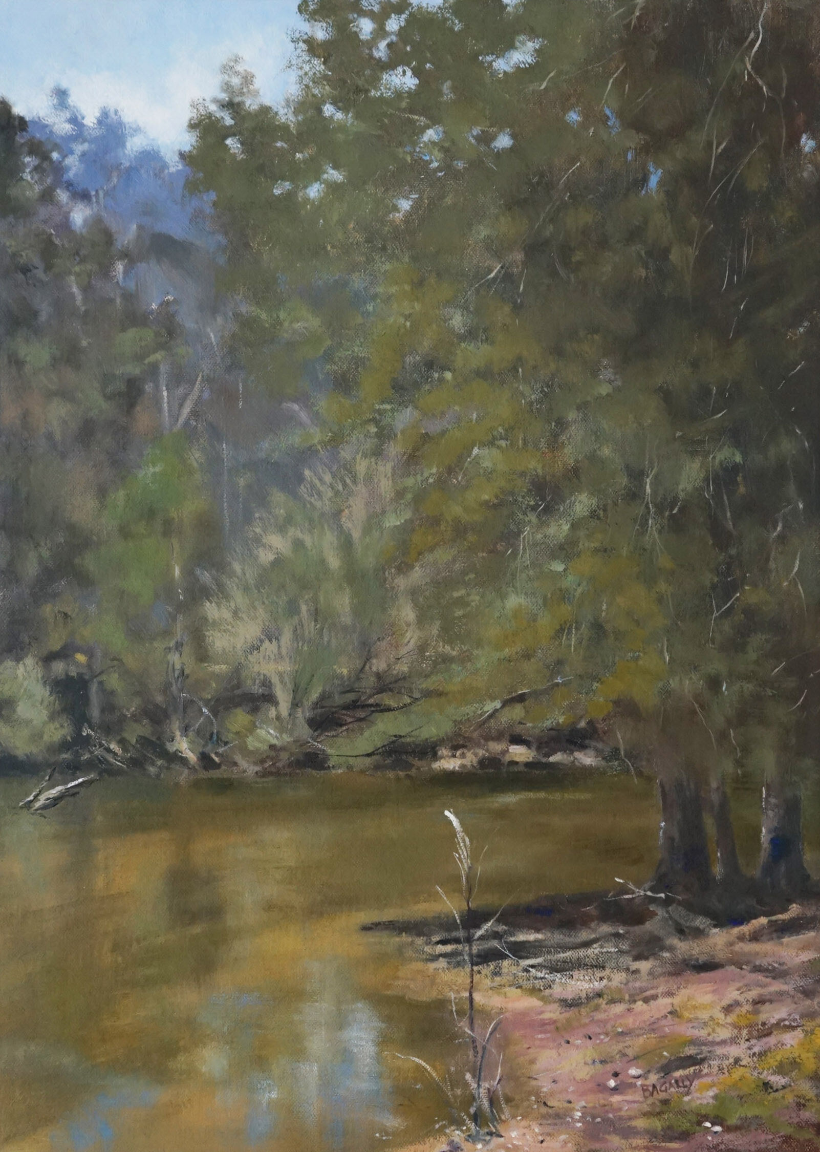 10 Macquarie River 1