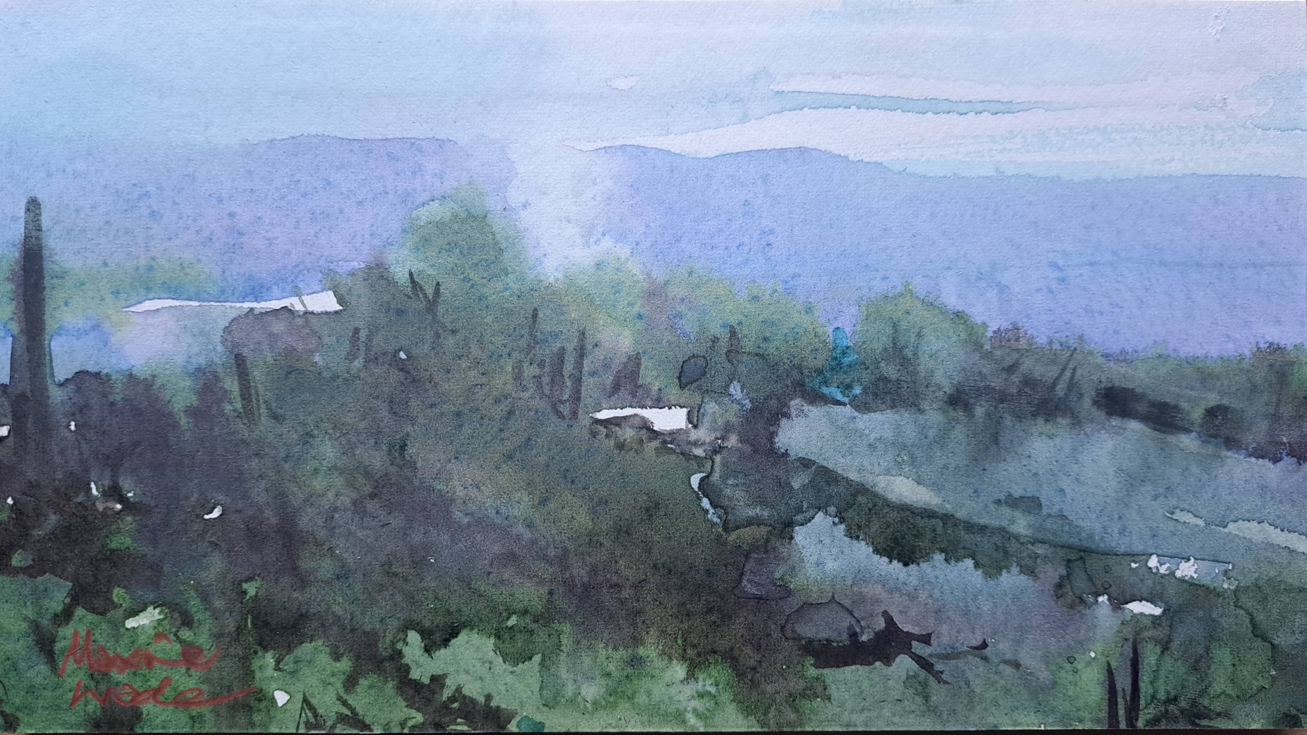 "Near Liffey River, Tasmania