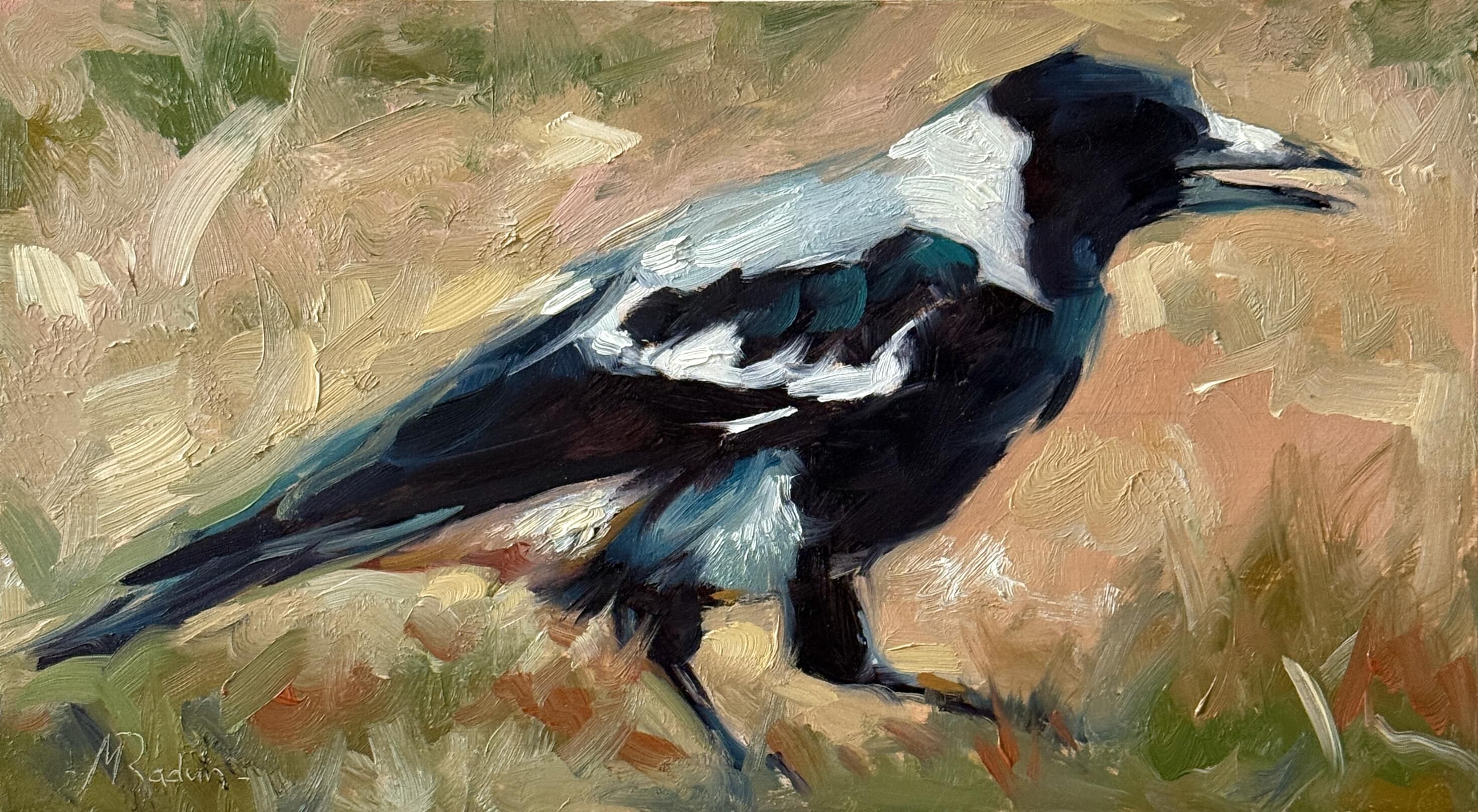 Magpie 24