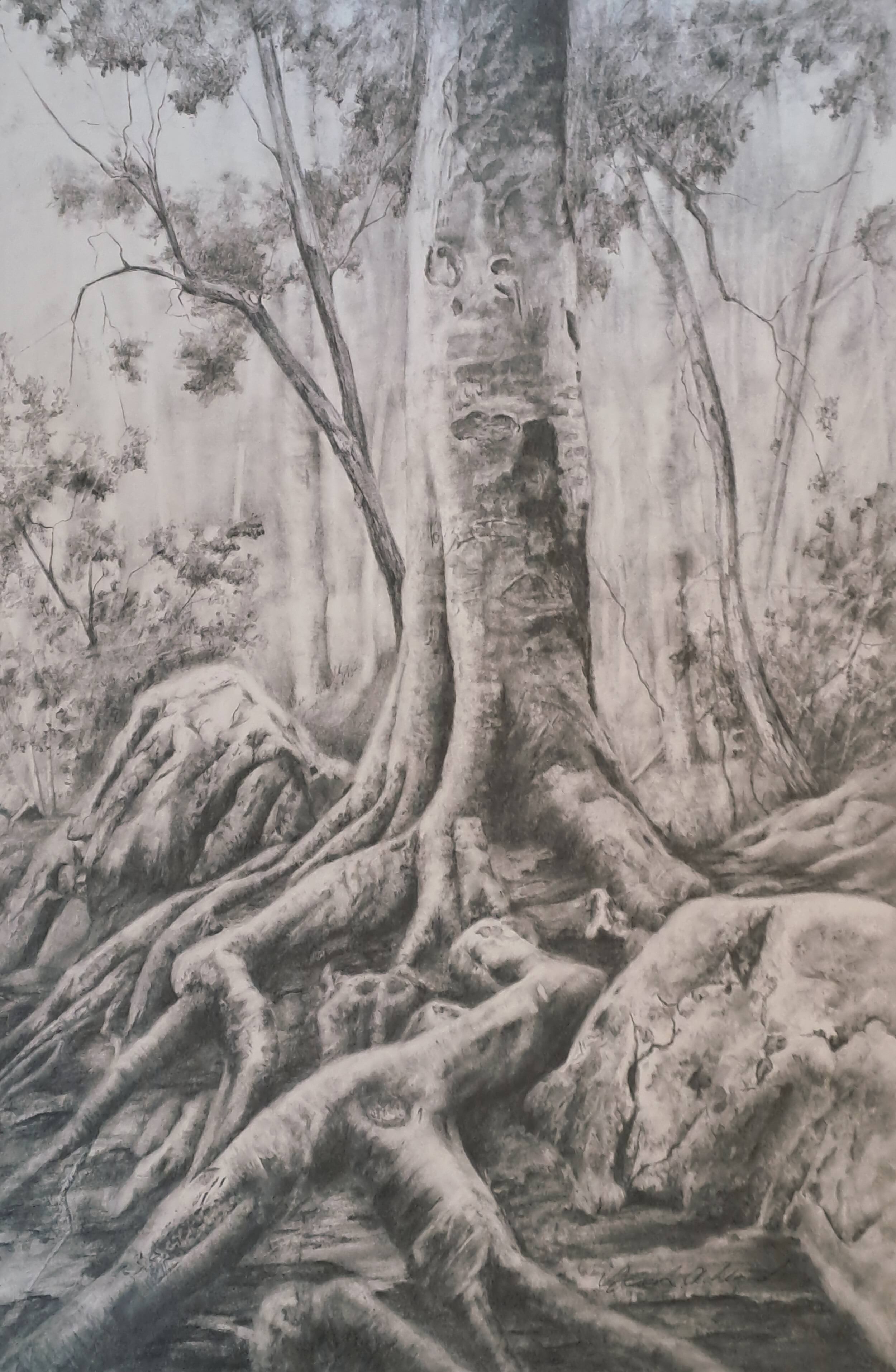 Walking Tree Standing Still.jpg