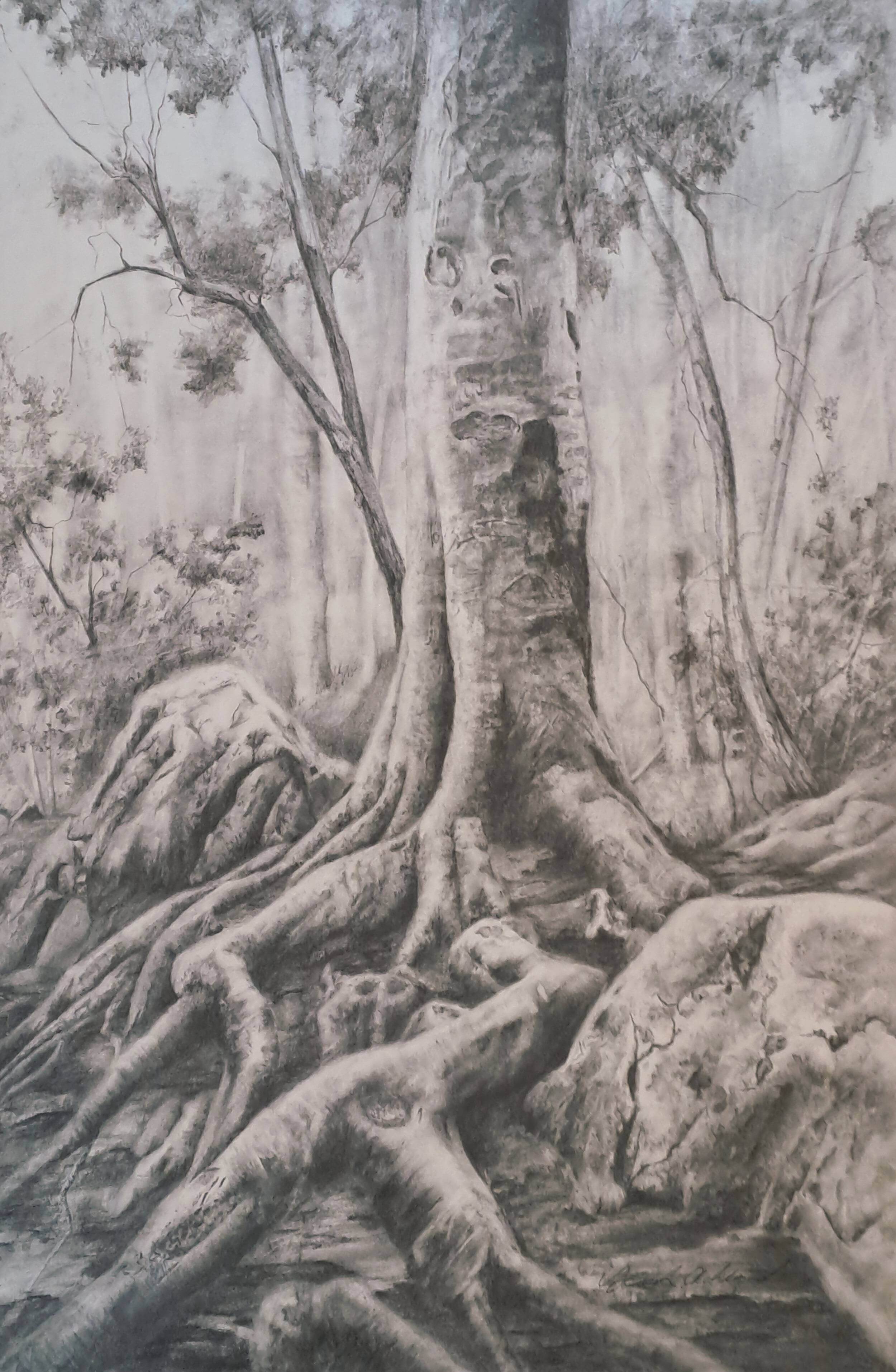 Walking Tree Standing Still.jpg