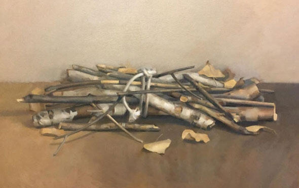 50-RDS-Kindling image