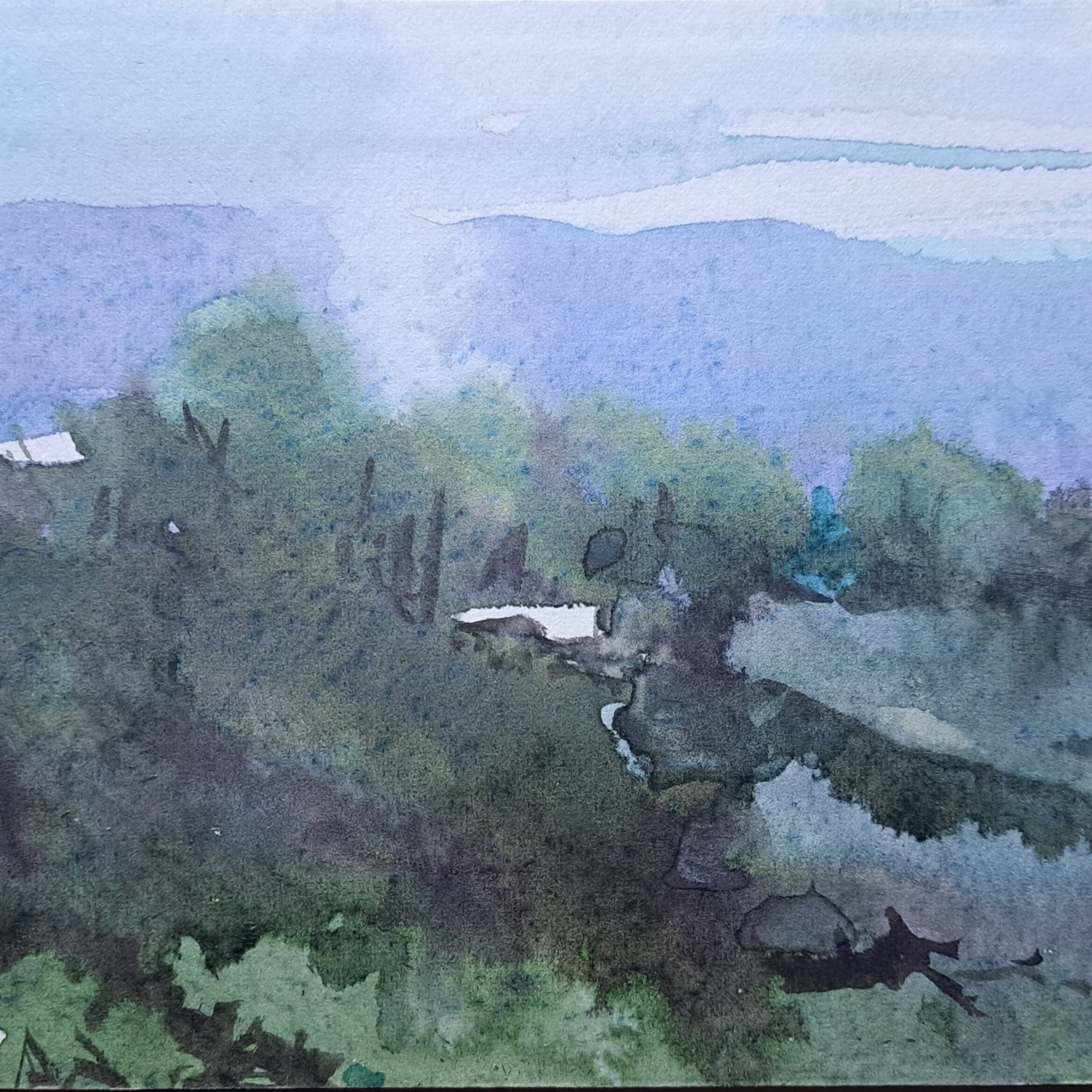 "Near Liffey River, Tasmania